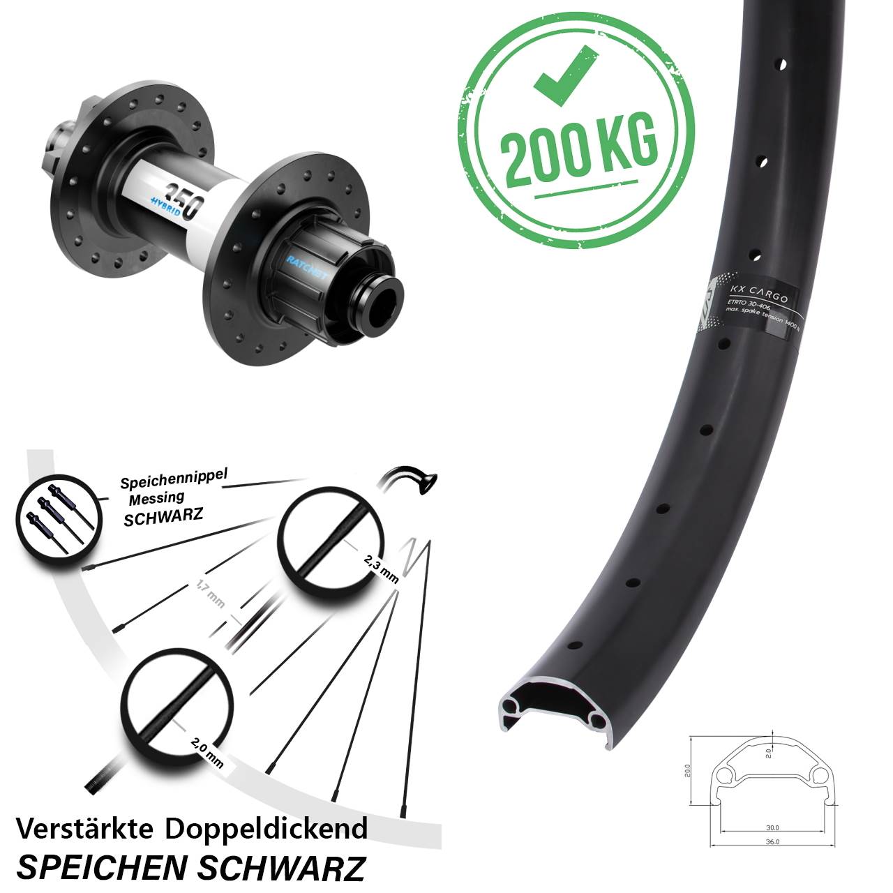 Hinterrad 20 Zoll KX Cargo DT Swiss 350 Hybrid Singlespeed 12x142 6-Loch