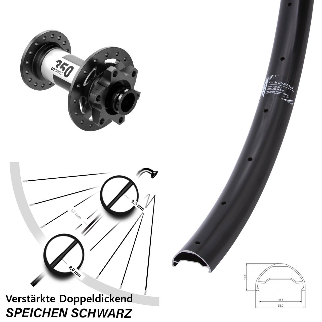 6-Loch Vorderrad 29 Zoll KX Mountain DT Swiss 350 15x110 Boost