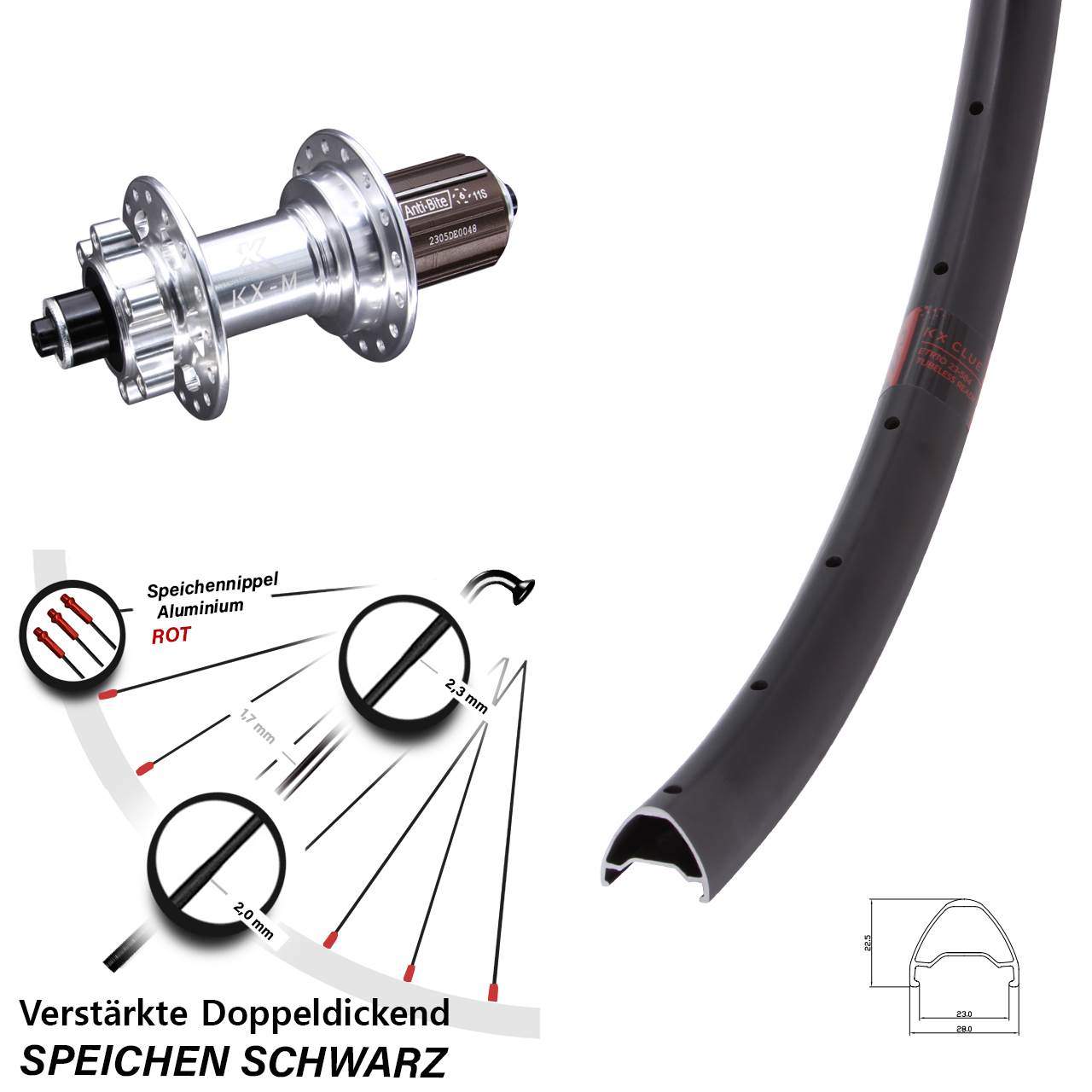 Hinterrad 6-Loch für Schnellspanner 28 Zoll KX Clue MTB 8-12 fach