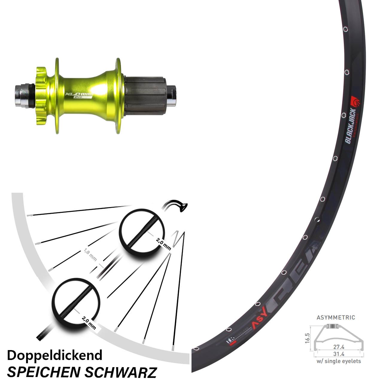 29 Zoll Laufrad 12x142 mm Steckachse XLC Evo grün eloxiert Rodi Ready 27-622 ETRTO 8-11 fach