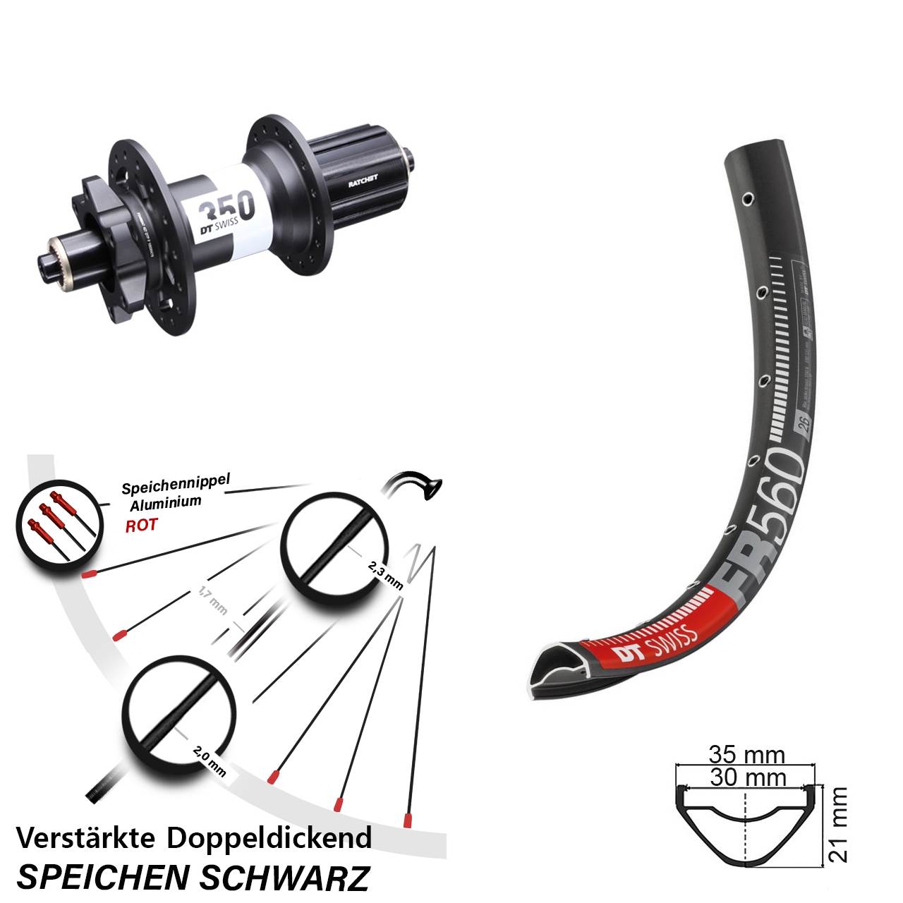 Hinterrad 6-Loch Disc 26 Zoll DT Swiss FR 560-350 8-11 fach HG für Schnellspanner