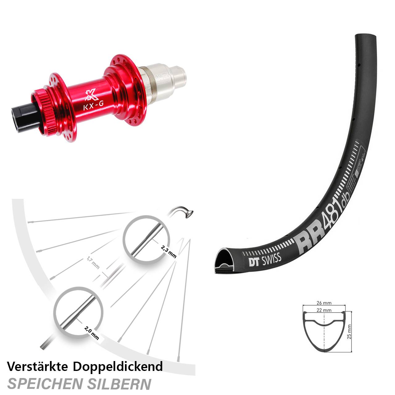 DT Swiss RR 481 KX-G rot 28 Zoll Disc Hinterrad 12x142 SRAM XDR