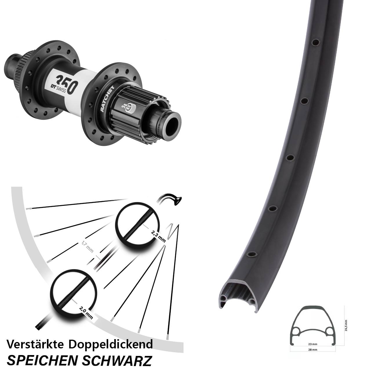 Centerlock Hinterrad 28-29 Zoll Ambrosio Sport DT Swiss 350 Shimano Micro Spline 12x142