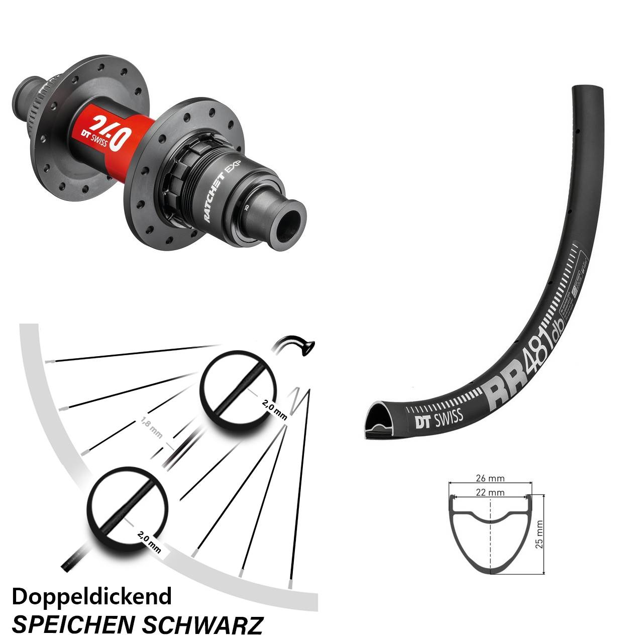 28 Zoll Hinterrad DT Swiss 240 EXP XDR 142/12 Centerlock mit RR 481 Felge