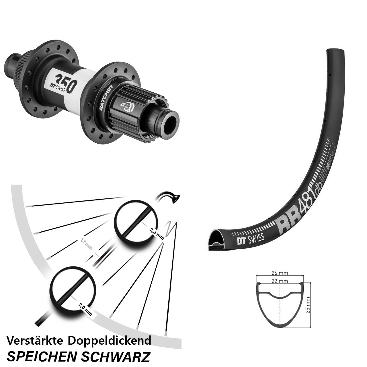 Disc Hinterrad 28 Zoll DT Swiss RR481-350 Ratchet 36 Shimano Micro Spline 12x142