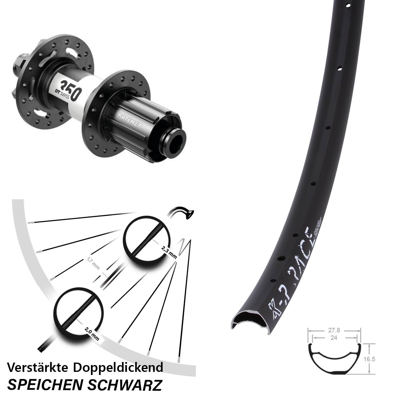 6-Loch Hinterrad KX-R Race DT Swiss 350 8-11 fach HG 12x148 Boost