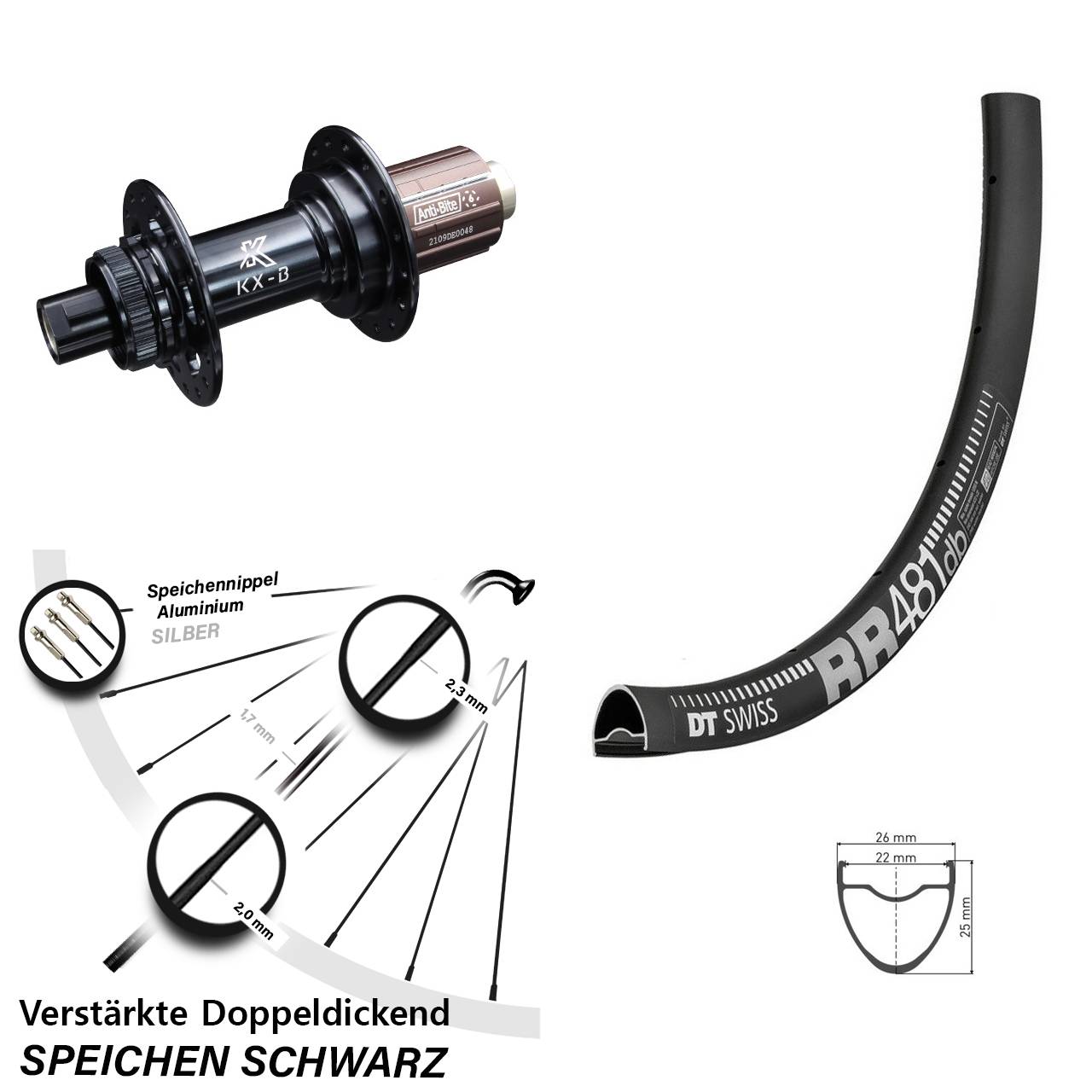 28 Zoll Hinterrad verstärkt DT Swiss RR 481 KX-B Boost 12x148 mm HG Road 11-12 fach