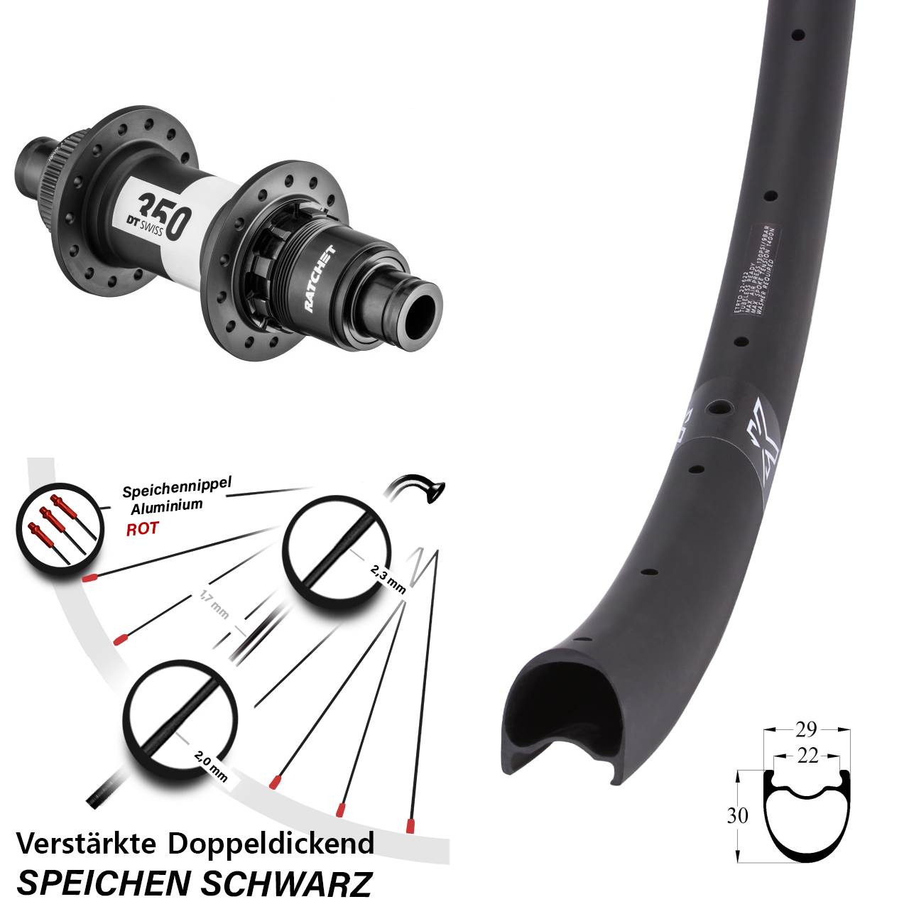 Disc Hinterrad 12x142 29 Zoll KX-RC Gravel Carbon DT Swiss 350 Ratchet 36 XDR 11-12 fach