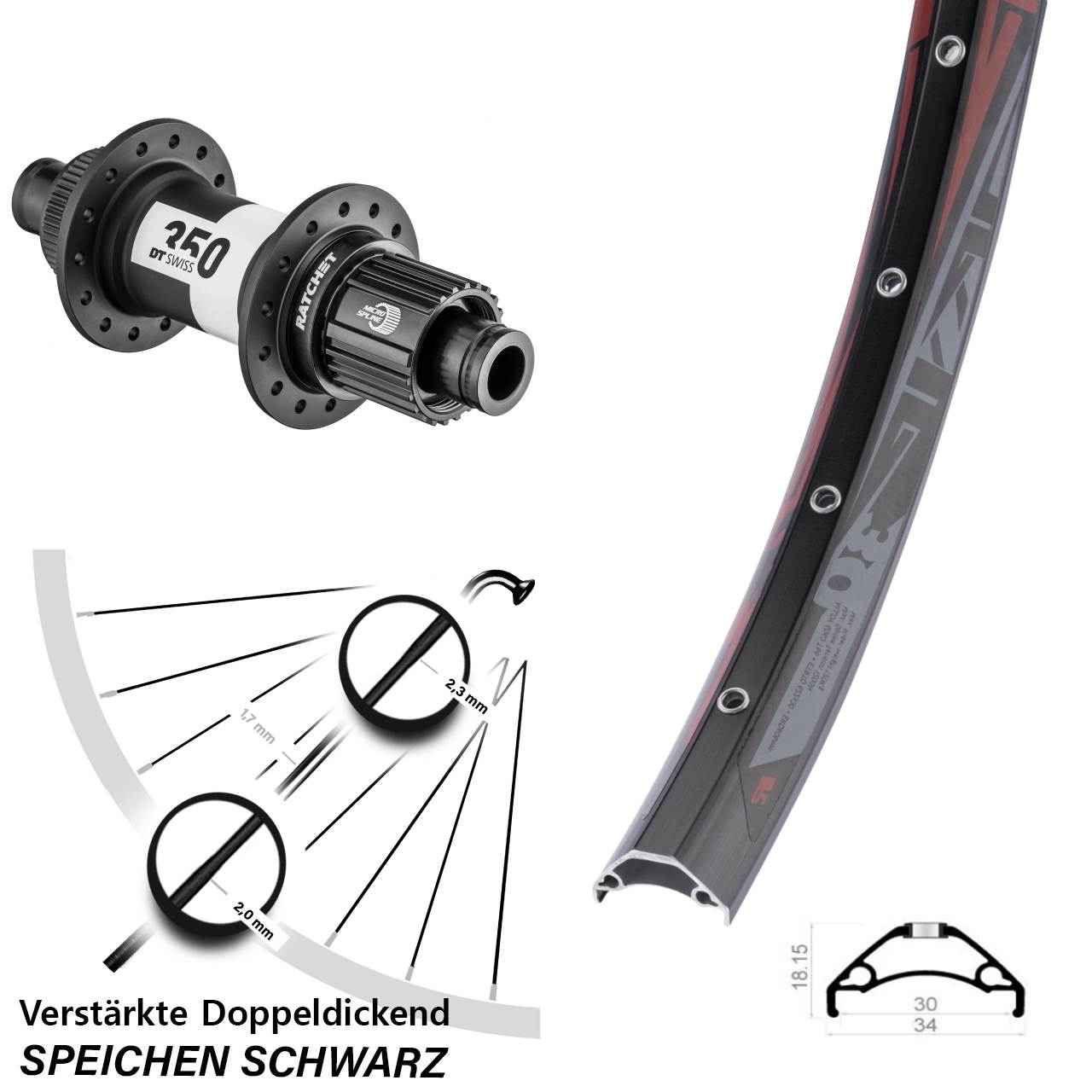 Rodi TRYP 30 DT Swiss 350 29 Zoll Centerlock Hinterrad 12x142 Micro Spline