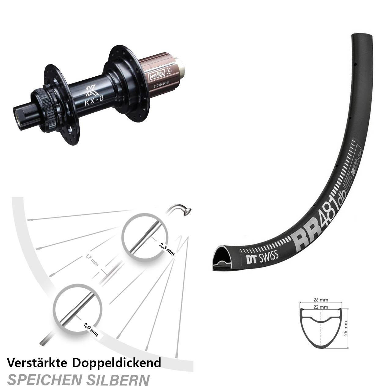 28 Zoll Hinterrad verstärkt DT Swiss RR 481 KX-B Boost 12x148 mm HG Road 11-12 fach