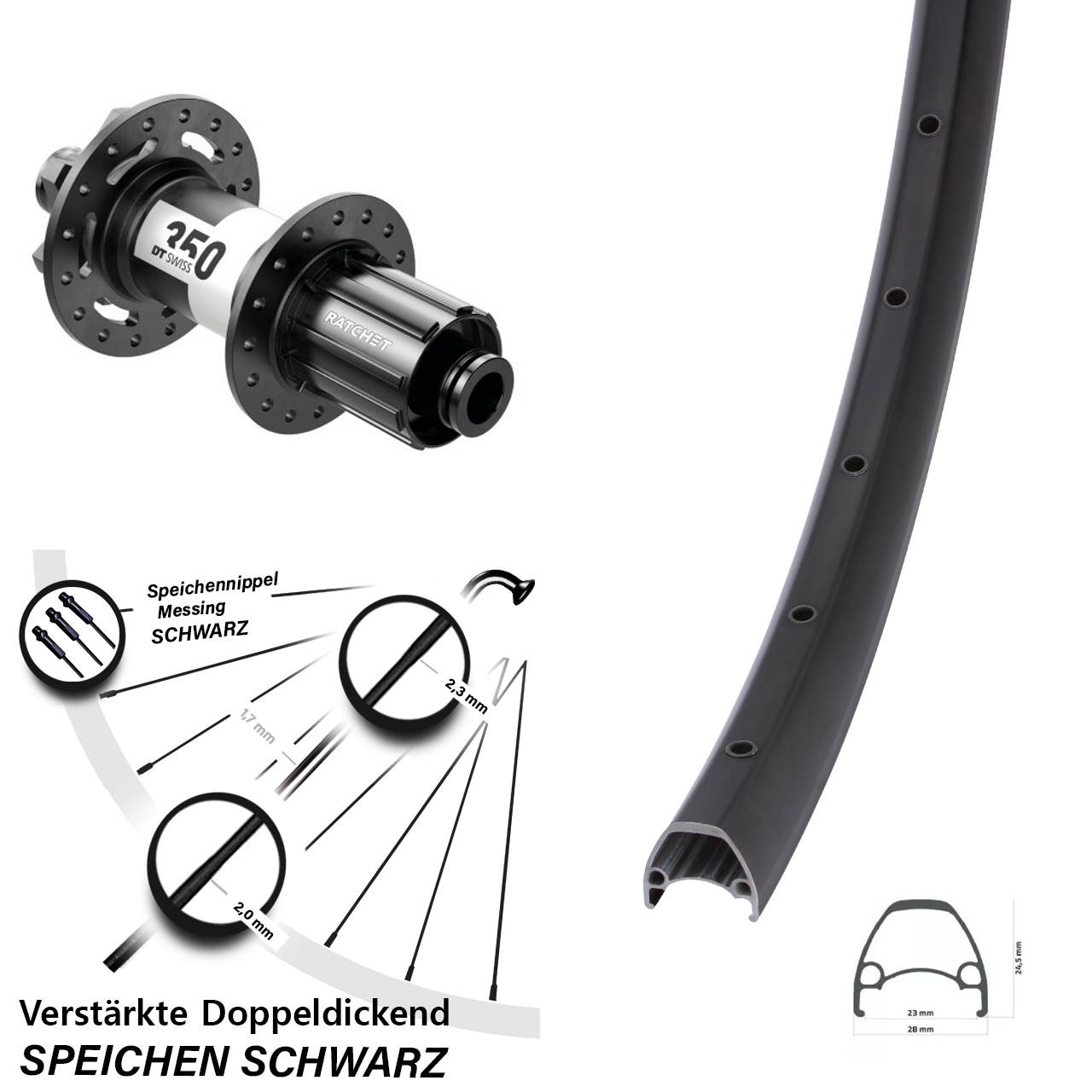Ambrosio Sport DT Swiss 350 28-29 Zoll Disc Laufrad 12x148 8-11 fach HG