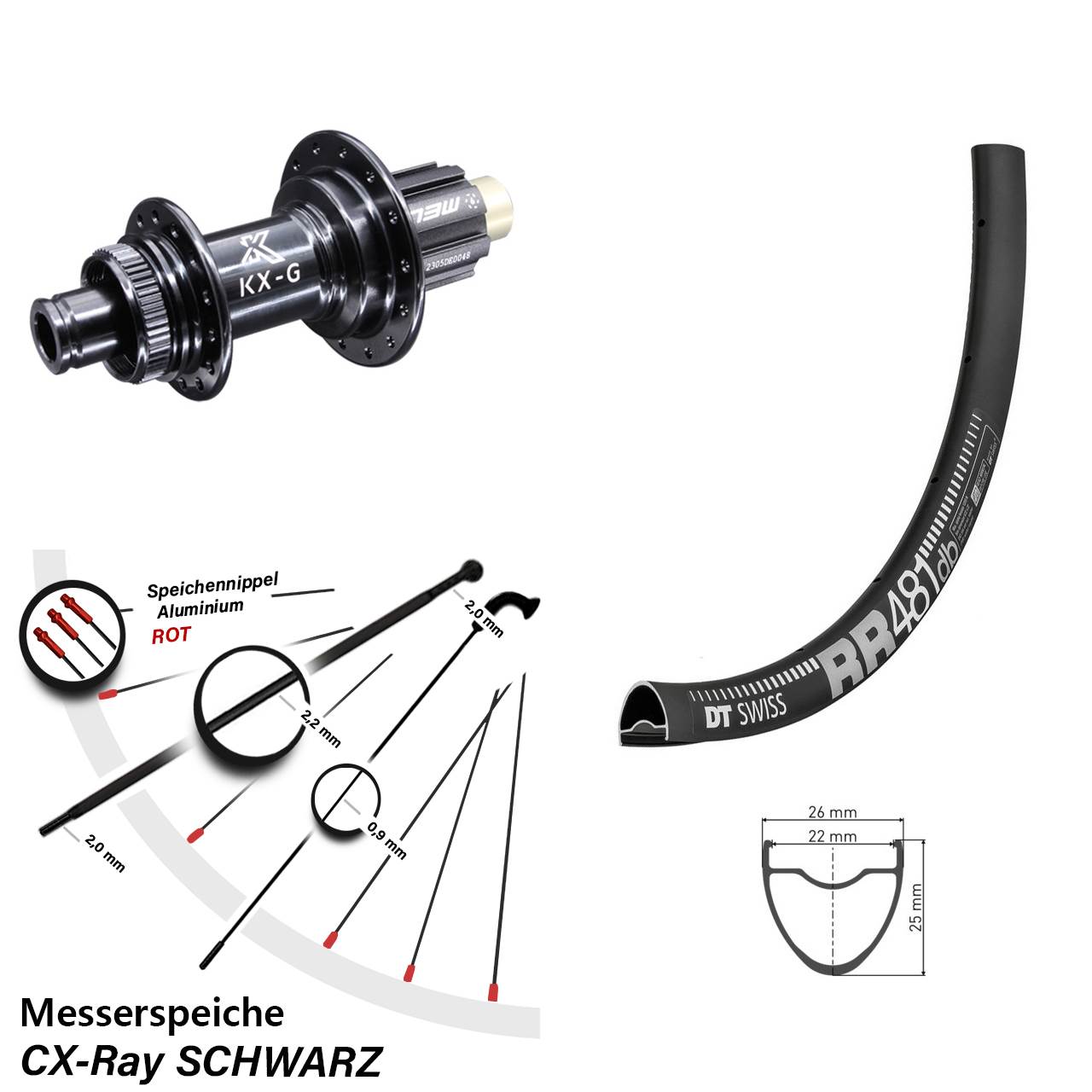28 Zoll DT Swiss RR 481 KX-G Steckachse Disc Laufrad 12x142 Campagnolo N3W CX-Ray