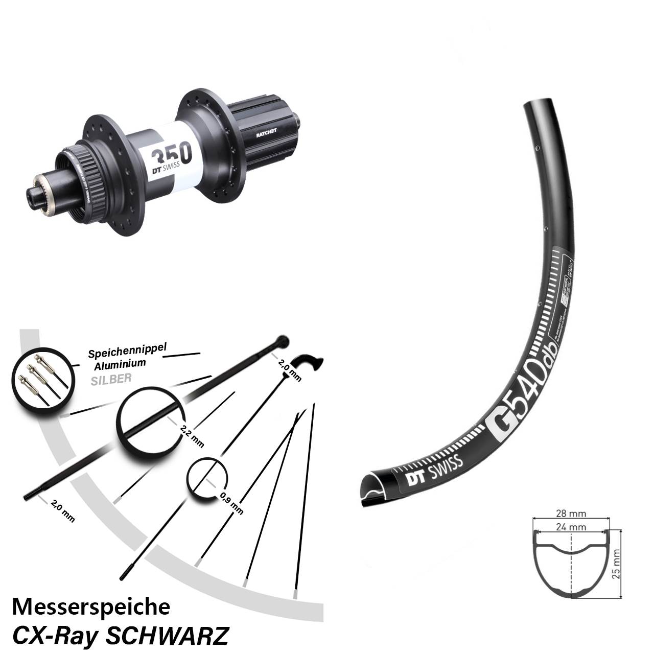 DT Swiss G540-350 Road 29 Zoll Disc Hinterrad für Schnellspanner CX-Ray 11-12 fach
