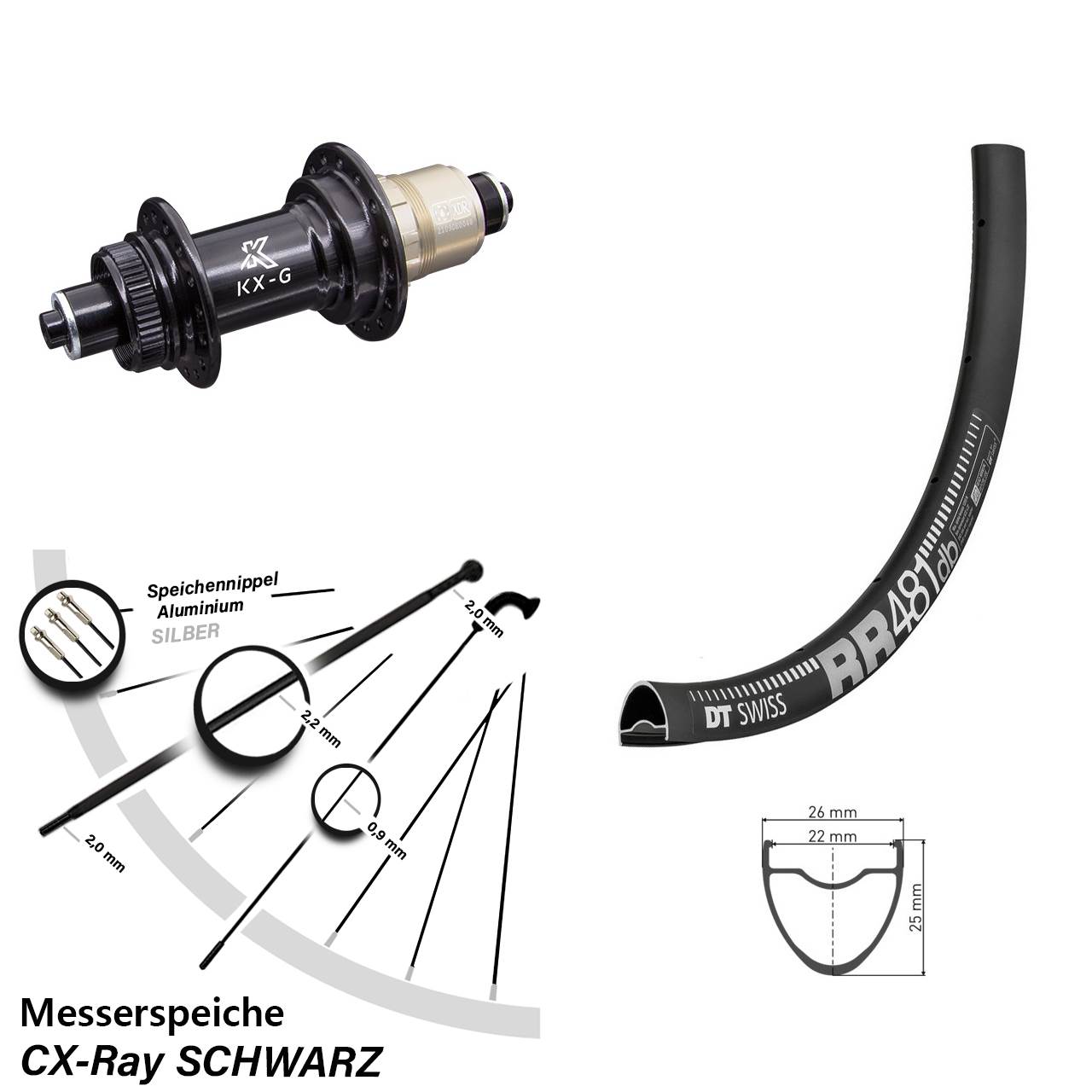 28 Zoll DT Swiss RR 481 KX-G Centerlock Hinterrad QR XDR 11-12 fach CX-Ray