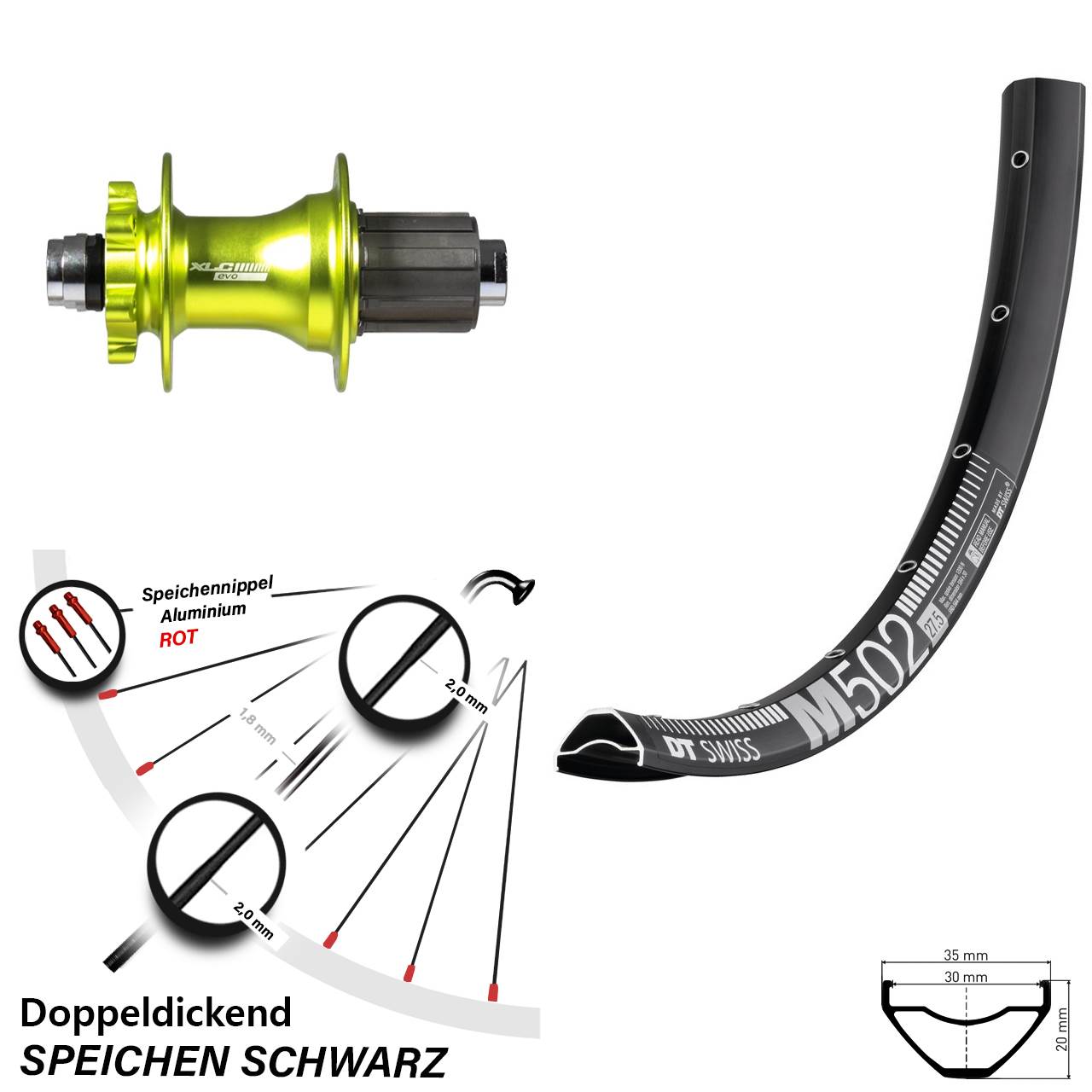 Hinterrad XLC Evo grün Steckachse DT Swiss M 502 29 Zoll 8-11 fach