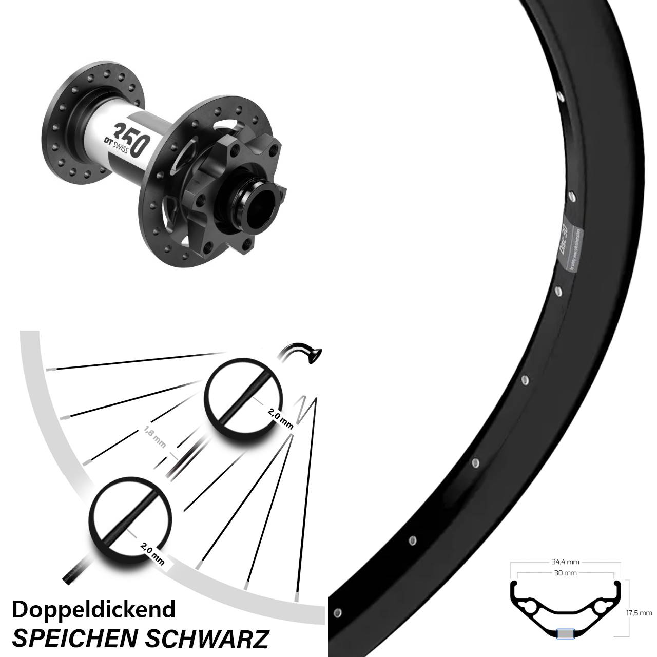6-Loch Vorderrad 29 Zoll Ryde Disc 30 DT Swiss 350 15x110 Boost