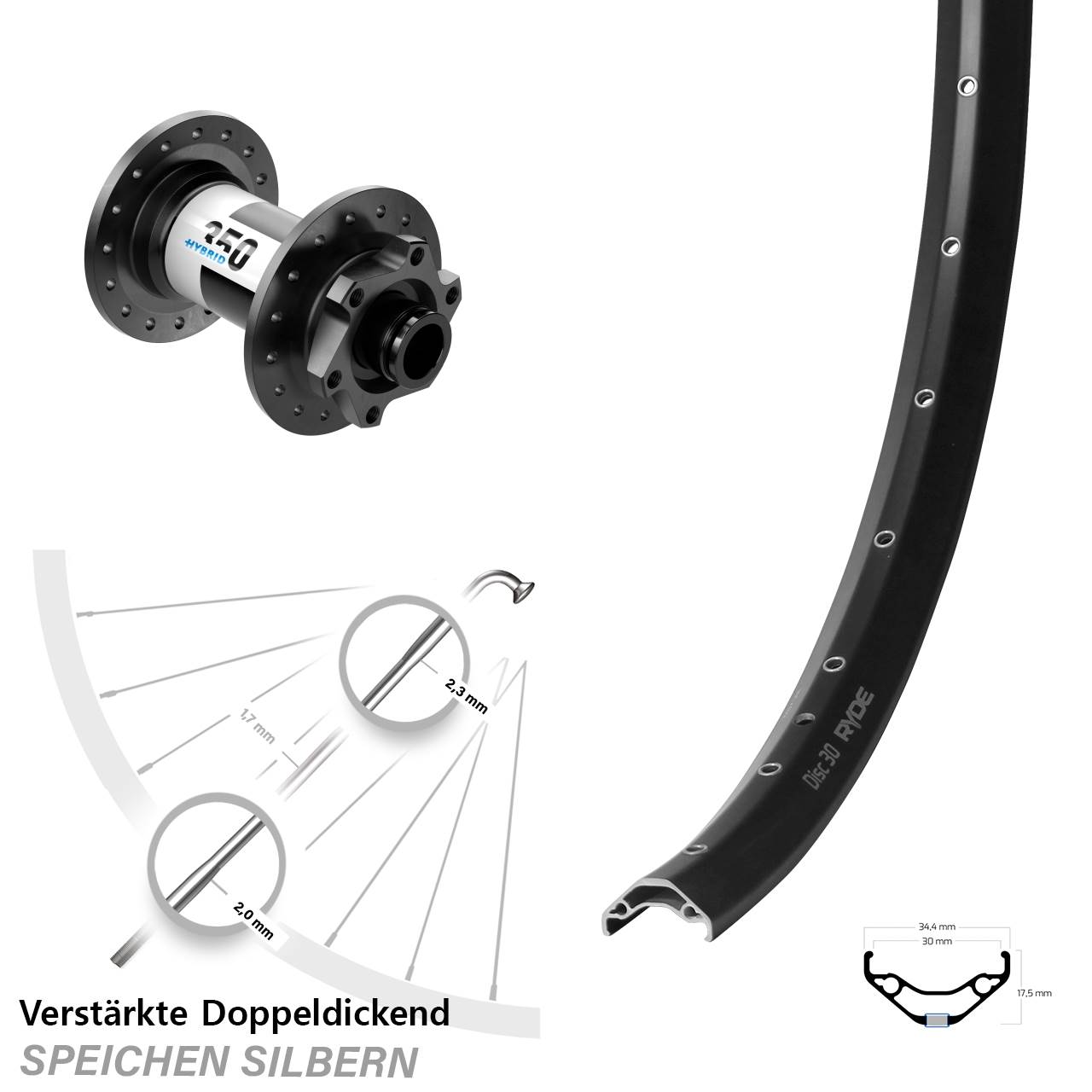Ryde Disc 30 DT Swiss Hybrid 350 29 Zoll Laufrad 15x100