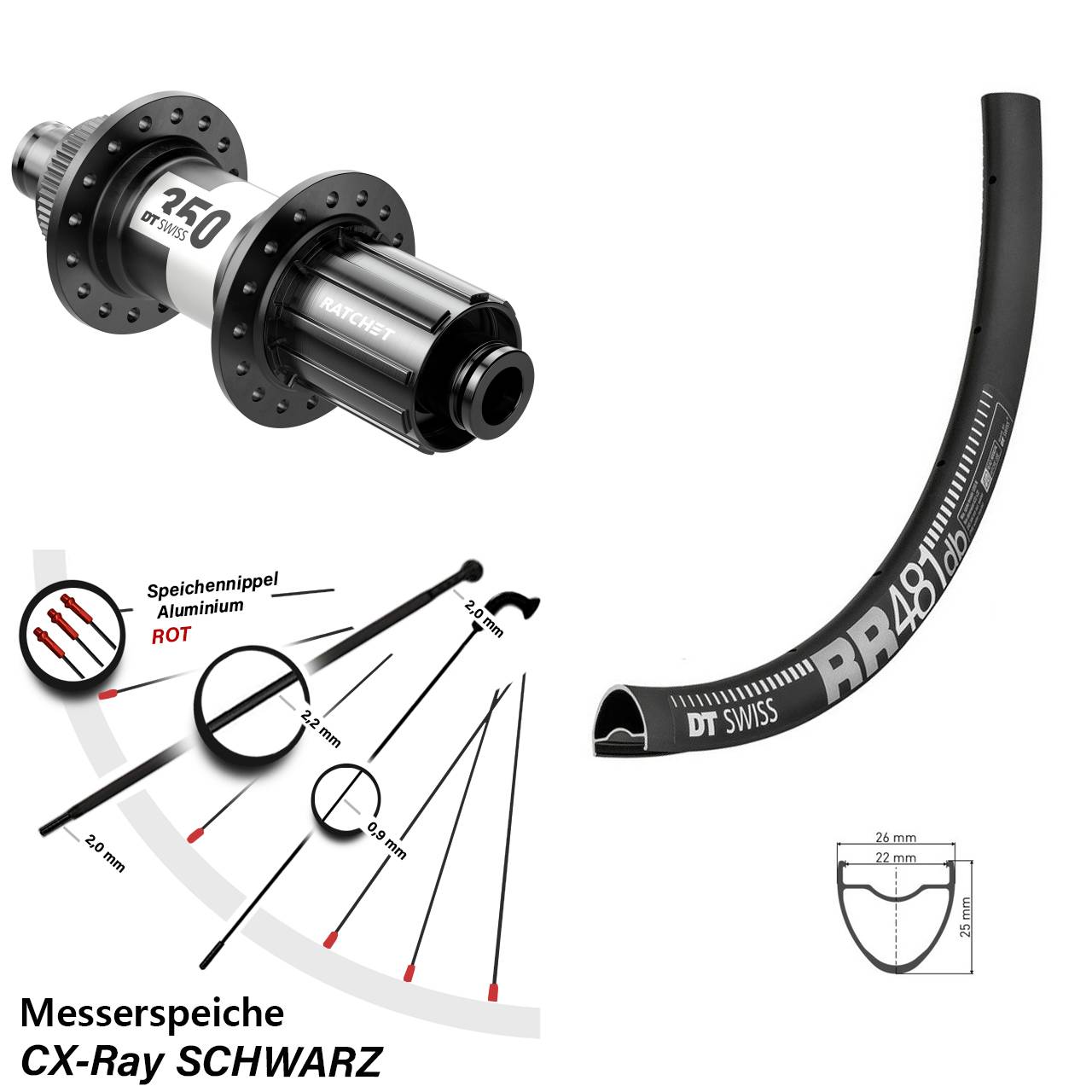 28 Zoll DT Swiss RR 481-350 Hinterrad Centerlock 12x142 CX-Ray HG Road