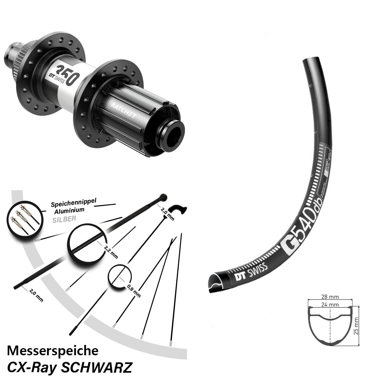 G 540 DT Swiss 350 28-29 Zoll Hinterrad 12x142 CX-Ray 11-12 fach