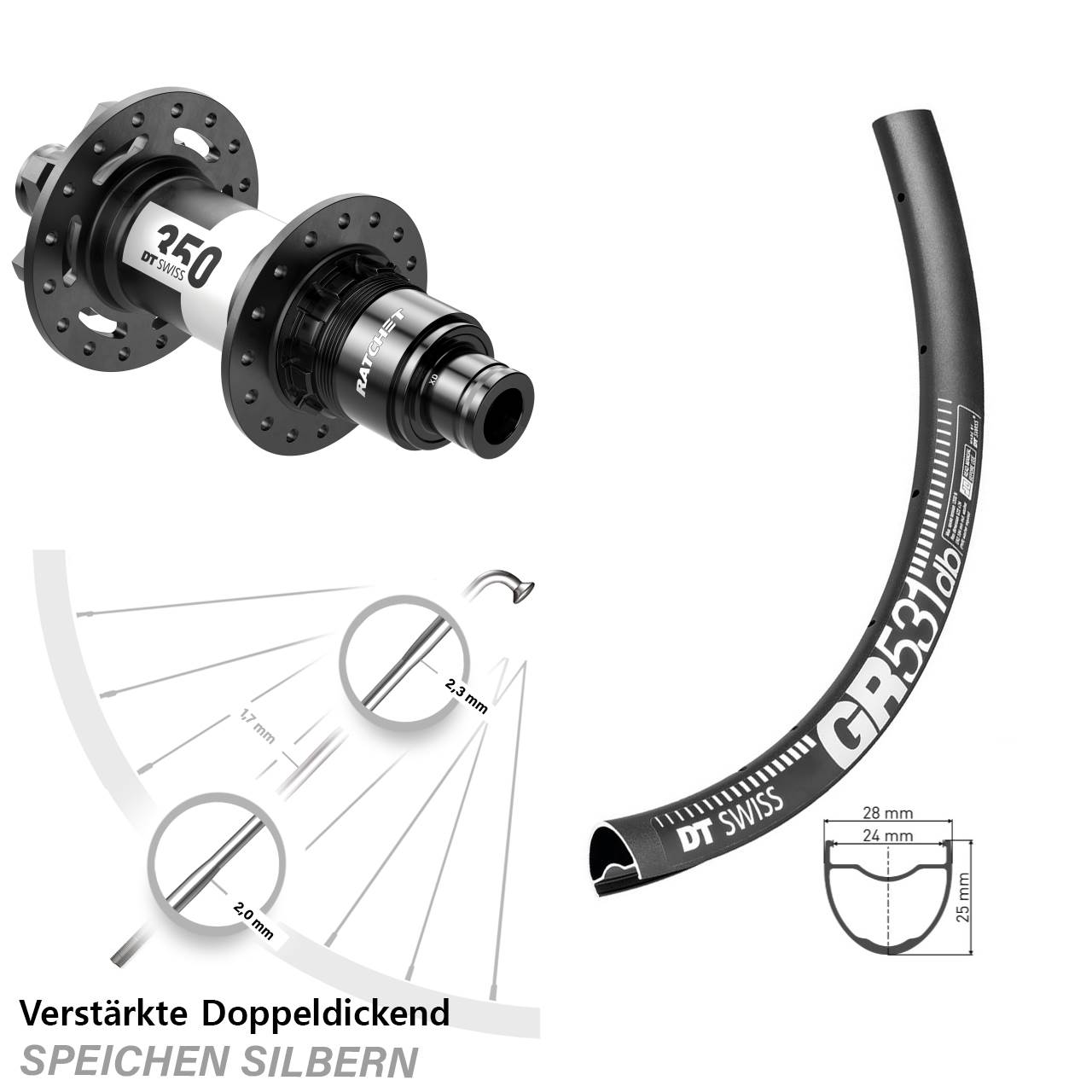 6-Loch Hinterrad 28 Zoll DT Swiss GR 531-350 XD 11-12 fach 12x148