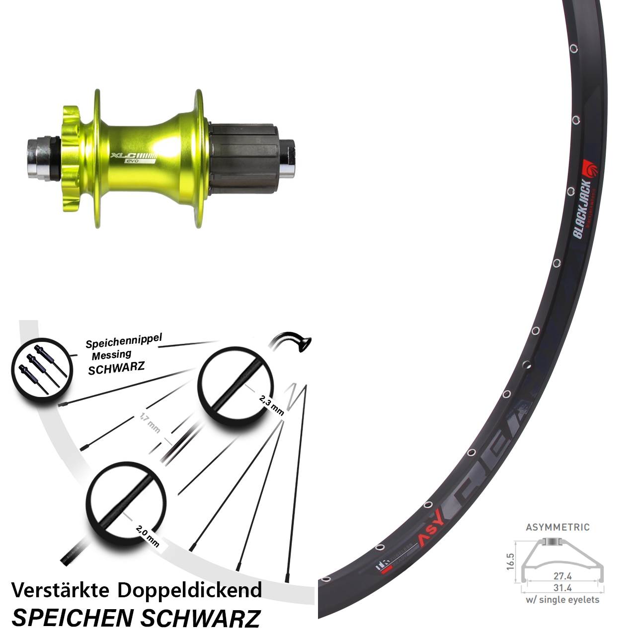 Disc Laufrad 29 Zoll Rodi Ready 27 XLC Evo grün 8-11 fach 12x142