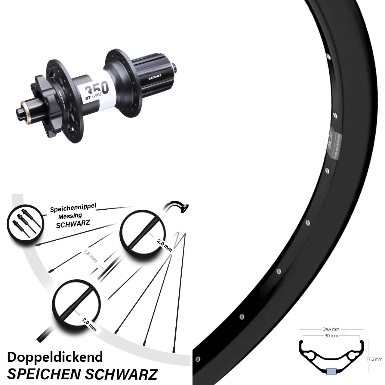 Ryde Disc 30 DT Swiss 350 29 Zoll 6-Loch Hinterrad QR 8-11 fach HG