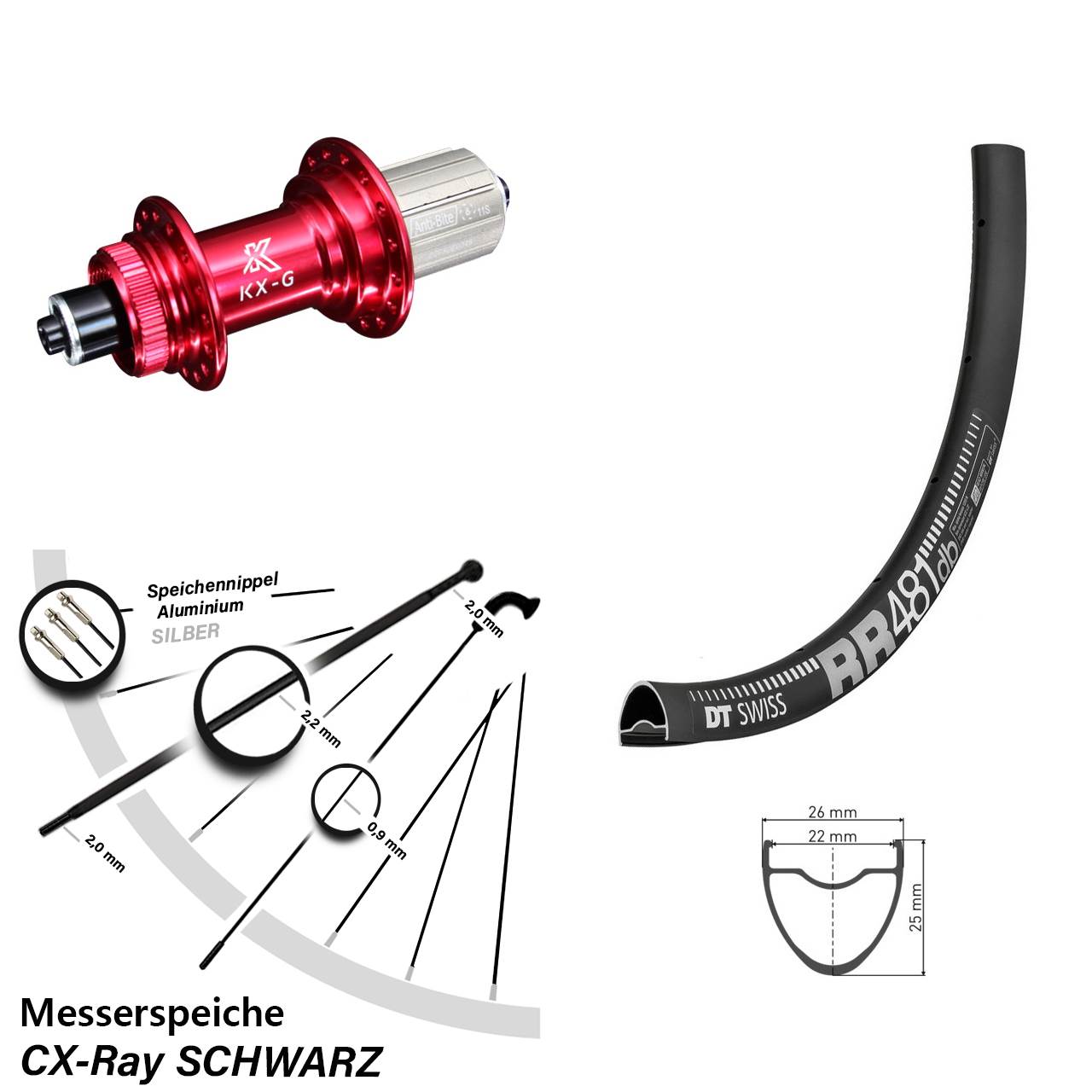 Centerlock Hinterrad QR 28 Zoll DT Swiss RR 481 KX-G rot 8-12 fach HG CX-Ray