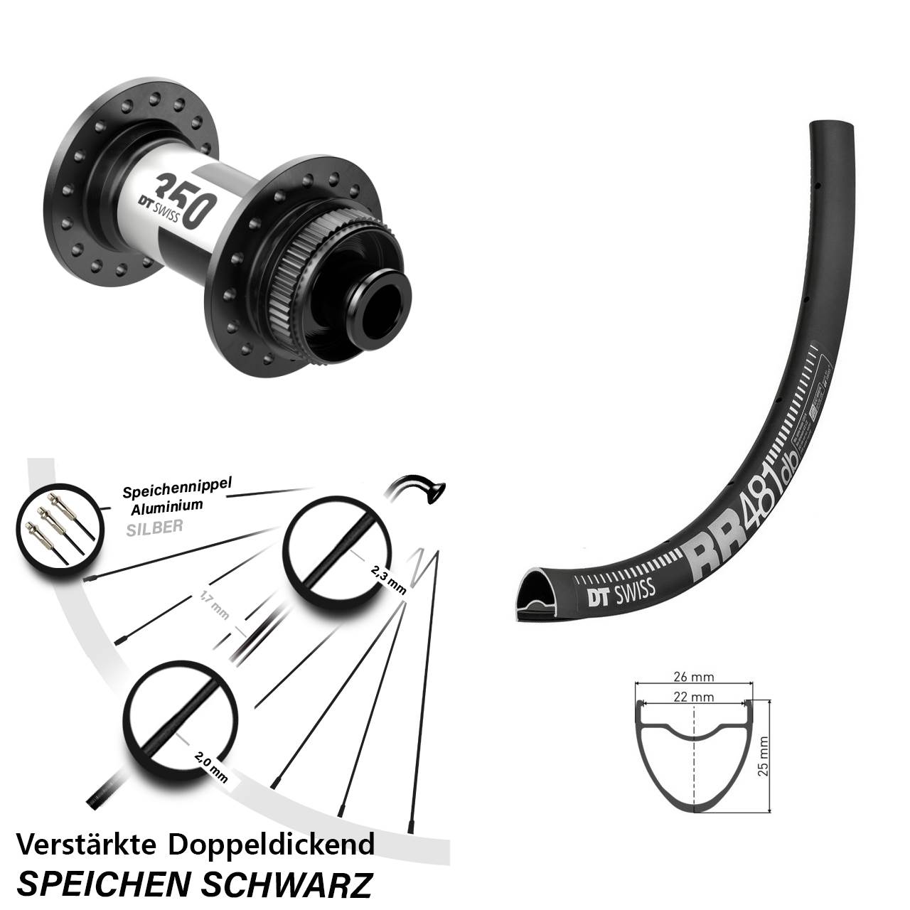 DT Swiss RR 481-350 28 Zoll Disc Vorderrad 12x100