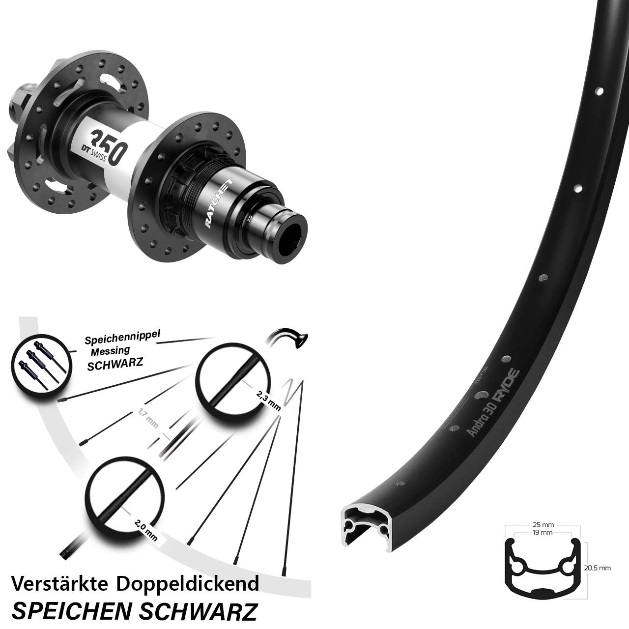 Hinterrad 6-Loch 12x142 29 Zoll Ryde Andra 30 DT Swiss 350 Ratchet 36 SRAM XD