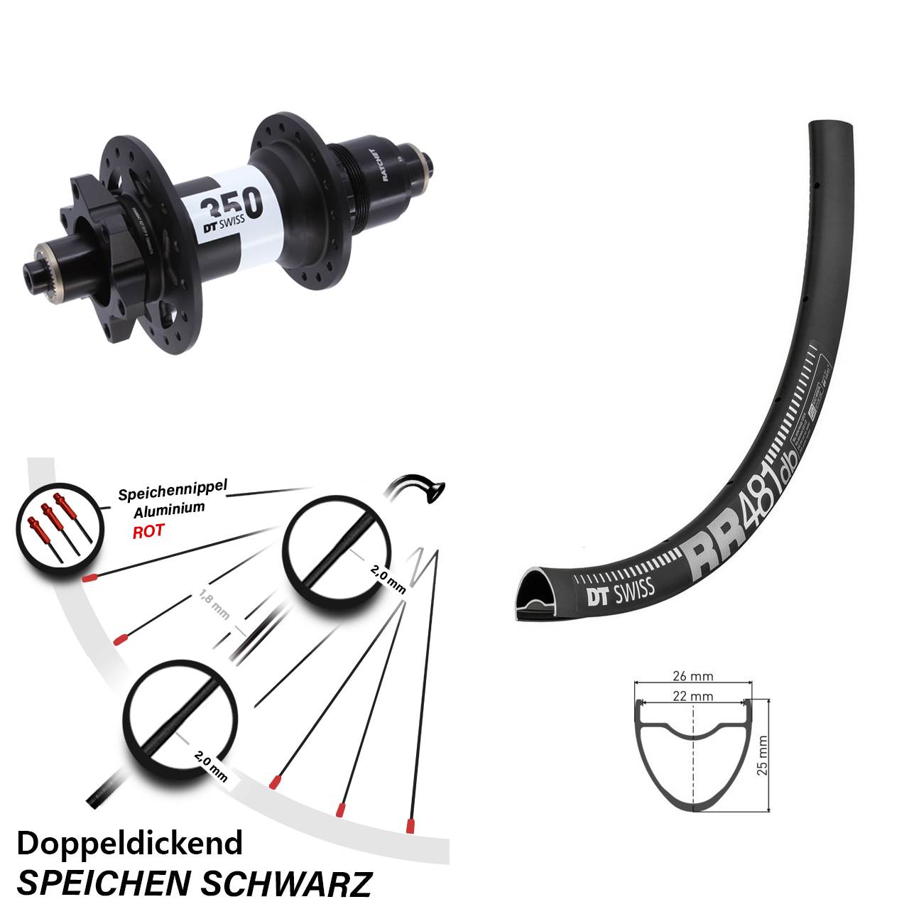 Hinterrad 6-Loch 28 Zoll DT Swiss RR 481-350 XD für Schnellspanner