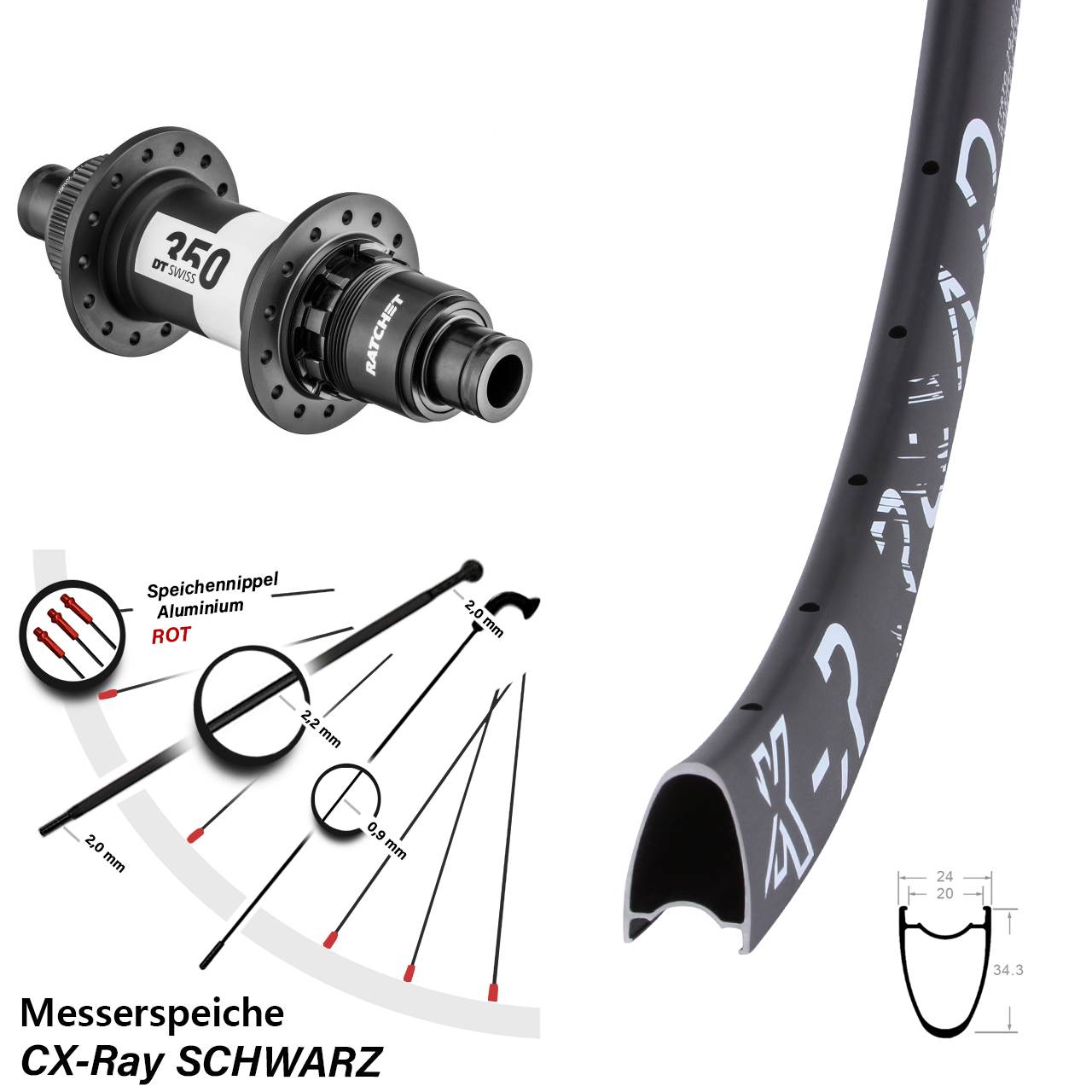 Hinterrad Centerlock 29 Zoll KX-R Road DT Swiss 350 Ratchet 36 XDR CX-Ray
