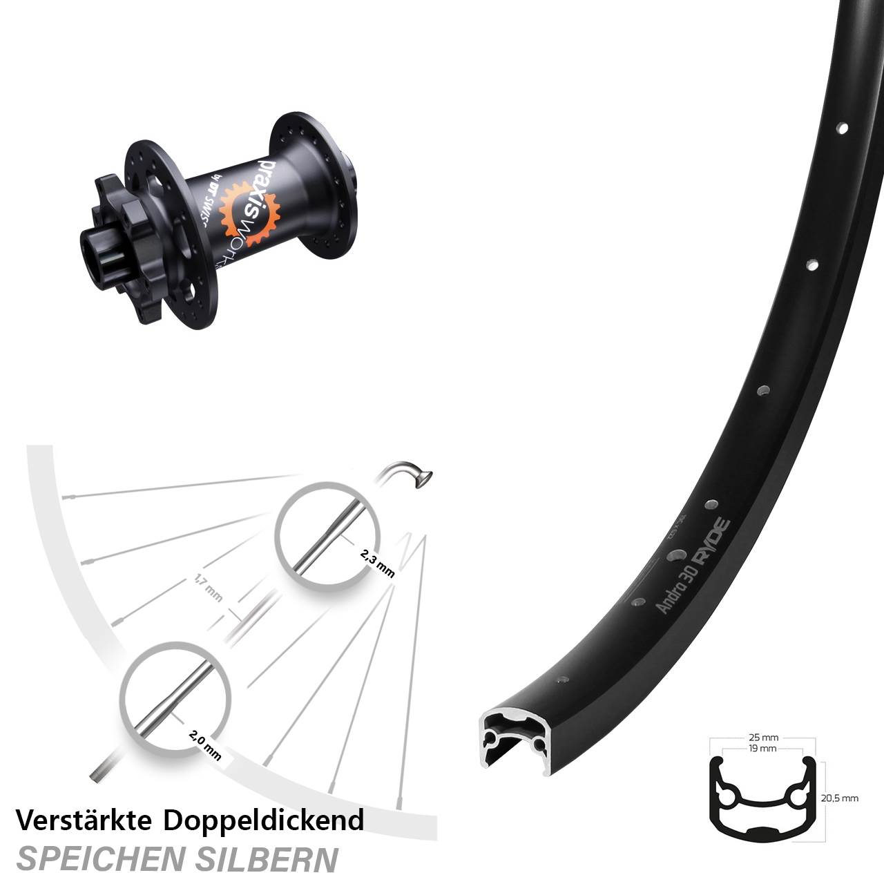 6-Loch Vorderrad 12x100 28-29 Zoll Ryde Andra 30 DT Swiss 350
