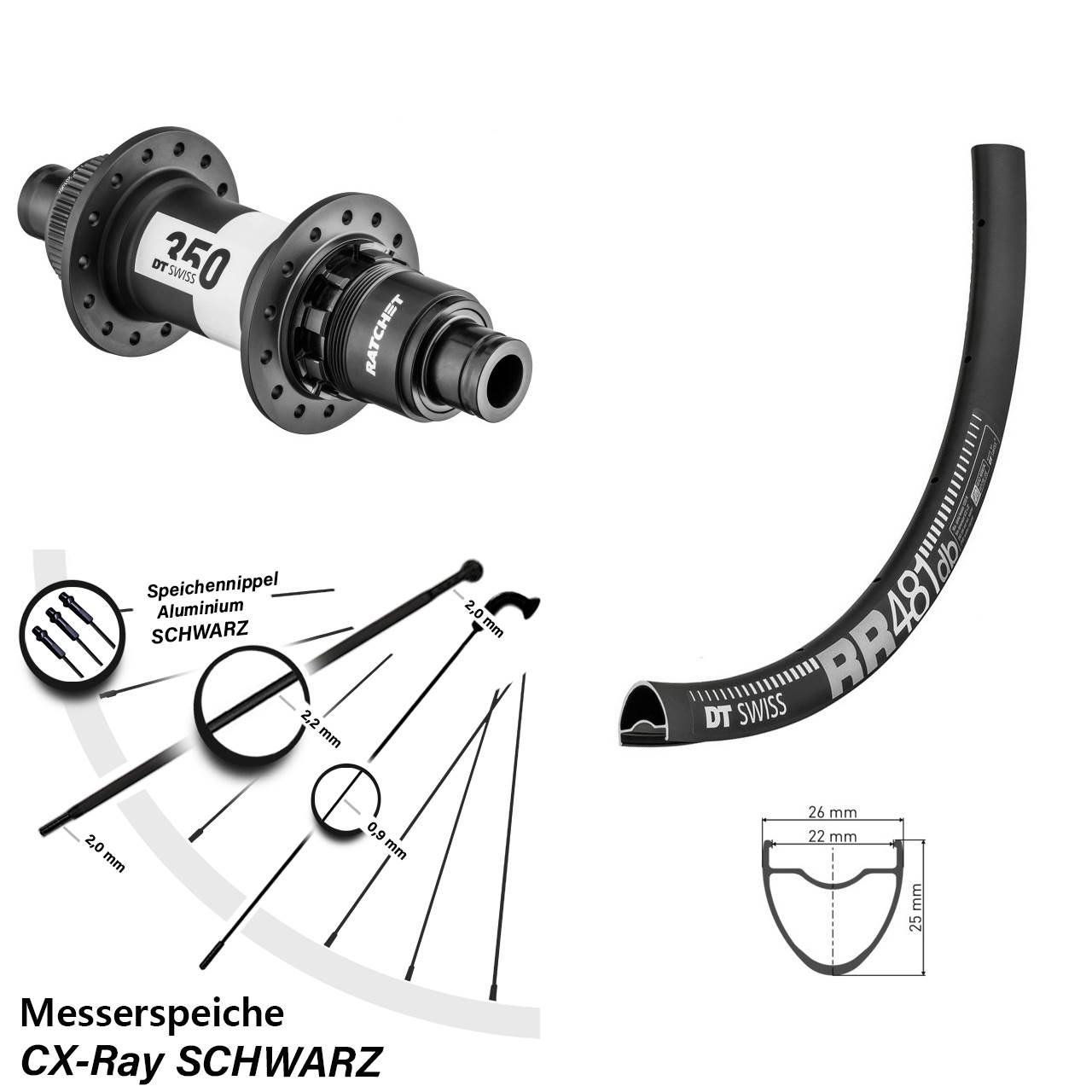 RR 481 DT Swiss 350 Ratchet 36 28 Zoll Hinterrad Centerlock 12x142 CX-Ray Sram XDR