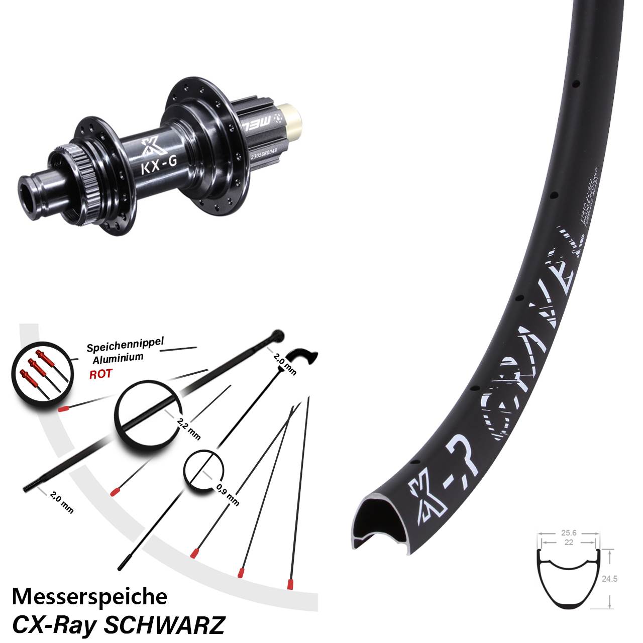Disc Hinterrad 28 Zoll KX-R Gravel Campa N3W 12x142 Messerspeiche CX-Ray