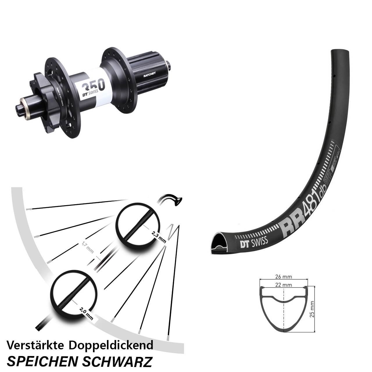 DT Swiss RR481 DT Swiss 350 Ratchet 36 28 Zoll 6-Loch Hinterrad QR 8-11 fach HG
