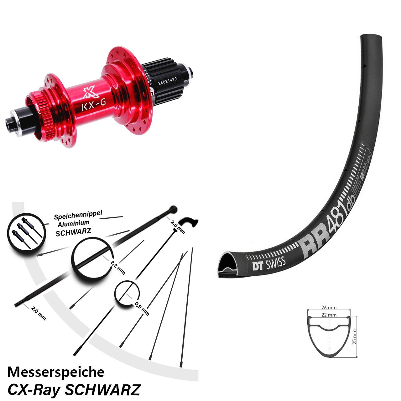 Hinterrad 28 Zoll DT Swiss RR 481 KX-G rot Shimano Micro Spline für Schnellspanner CX-Ray