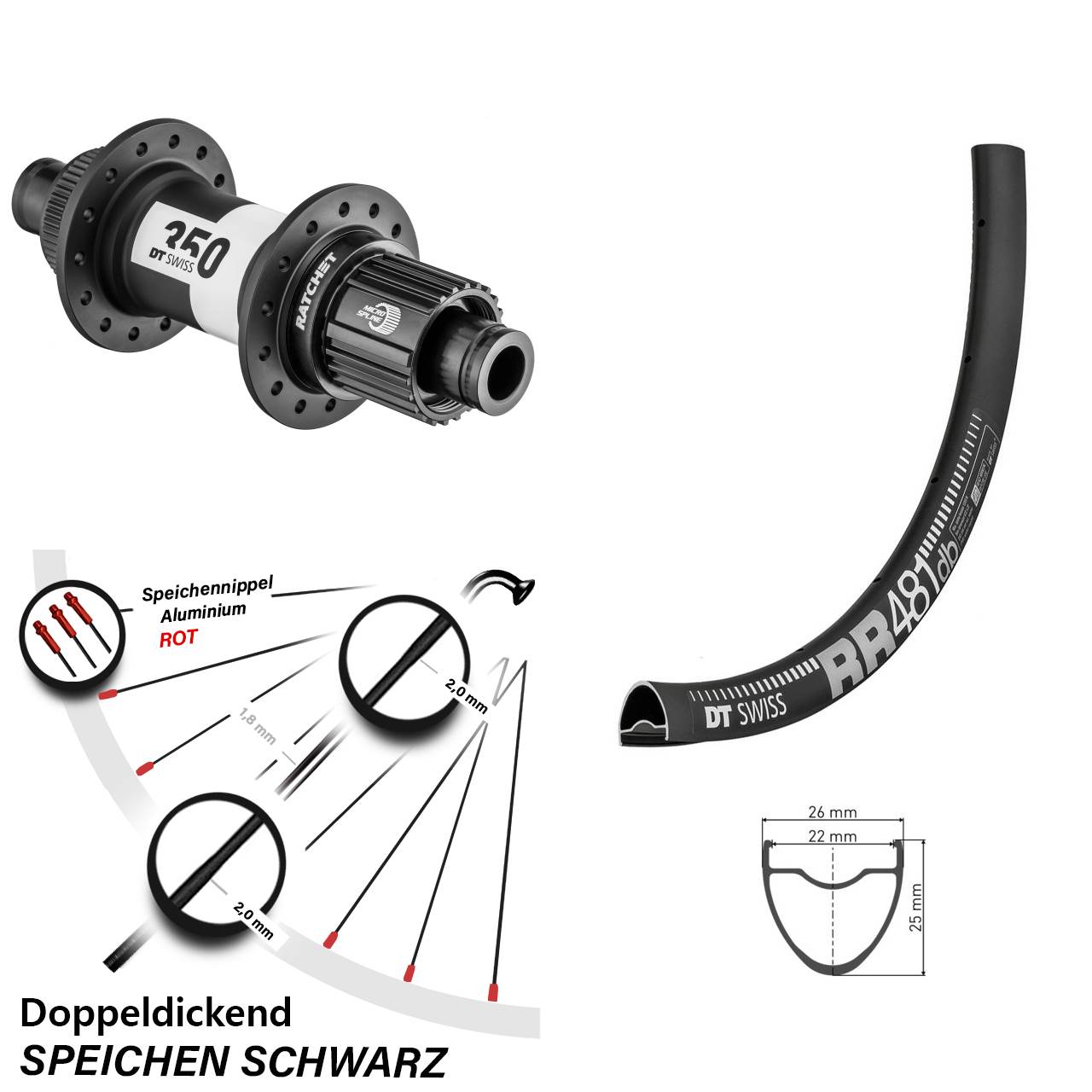 Centerlock Hinterrad 28 Zoll DT Swiss RR481-350 Shimano Micro Spline 12x142