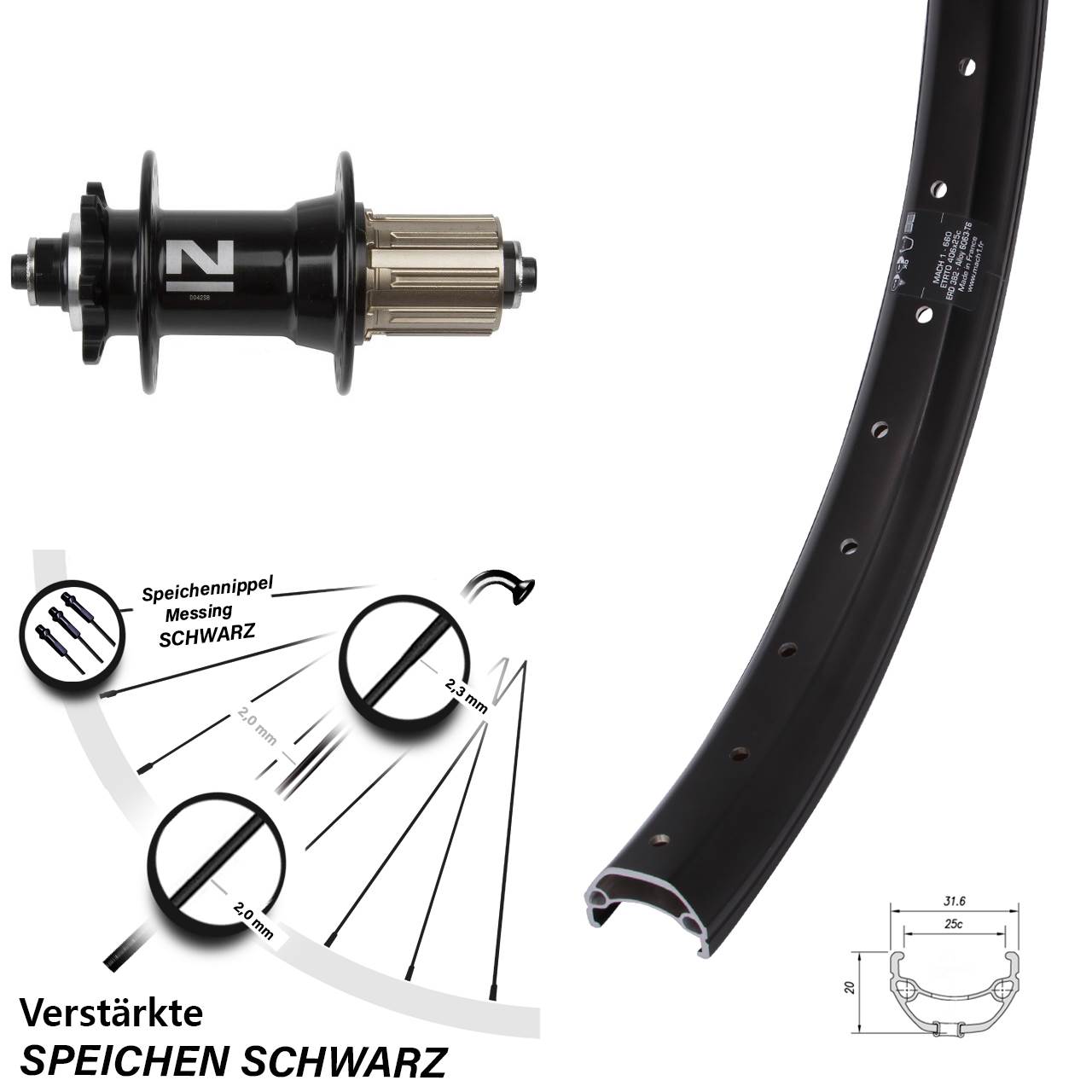Hinterrad 6-Loch Disc 20 Zoll Mach1 Kargo Novatec D042 8-11 fach HG für Schnellspanner