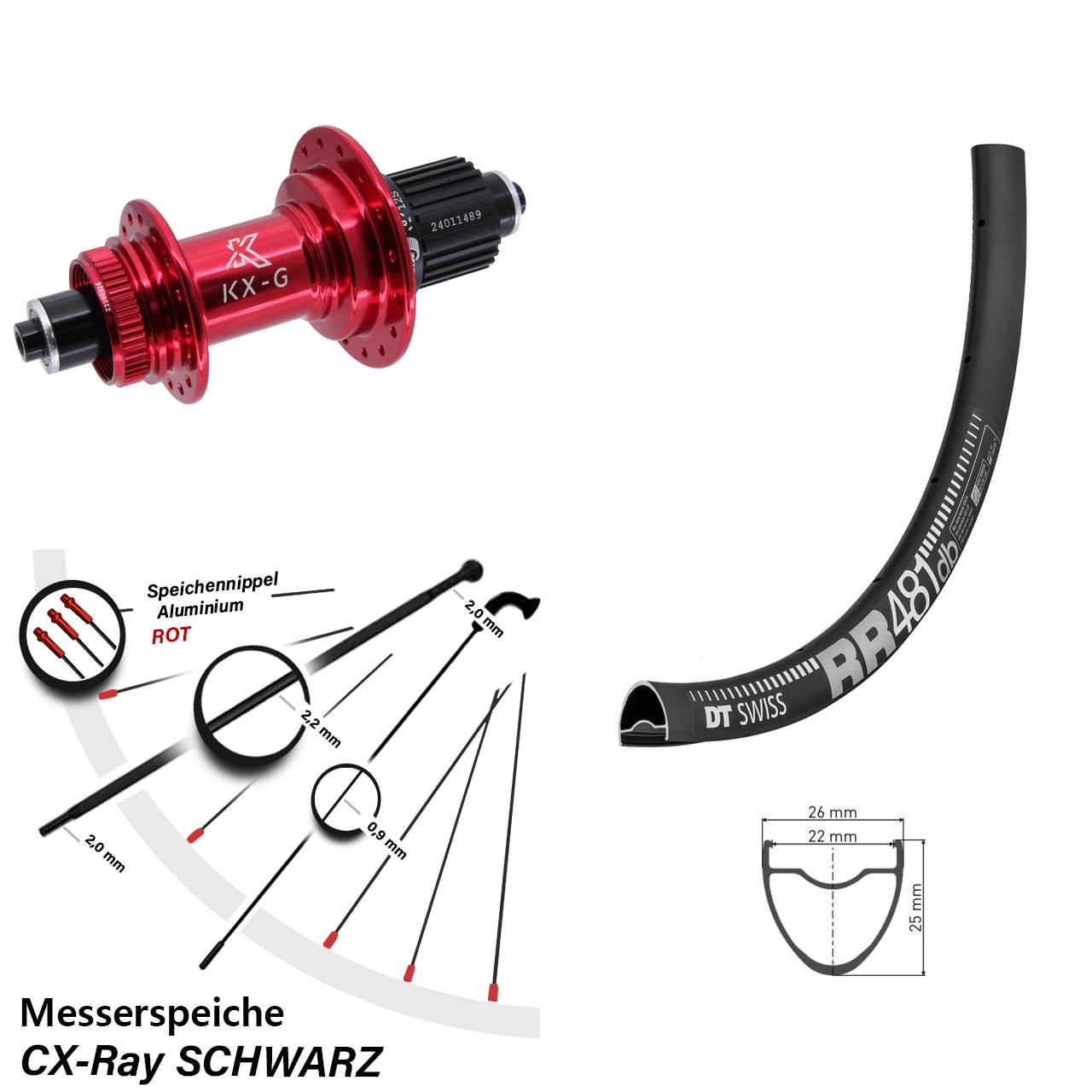 Hinterrad 28 Zoll DT Swiss RR 481 KX-G rot Shimano Micro Spline für Schnellspanner CX-Ray