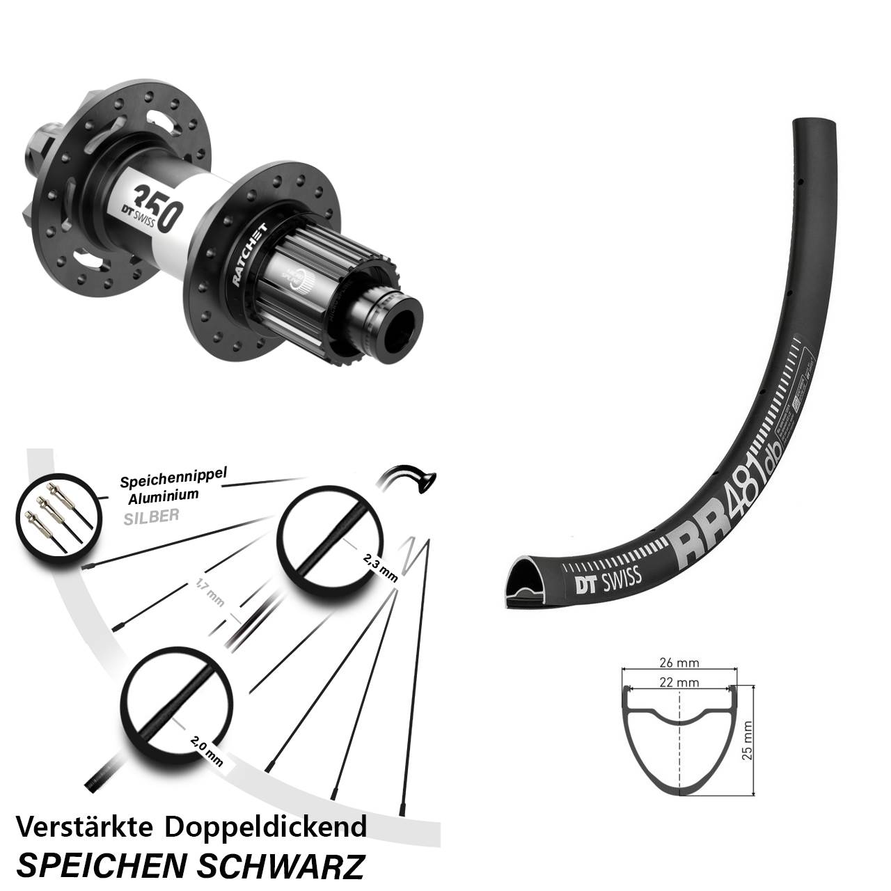 DT Swiss RR 481-350 28 Zoll 6-Loch Hinterrad 12x148 Shimano Micro Spline