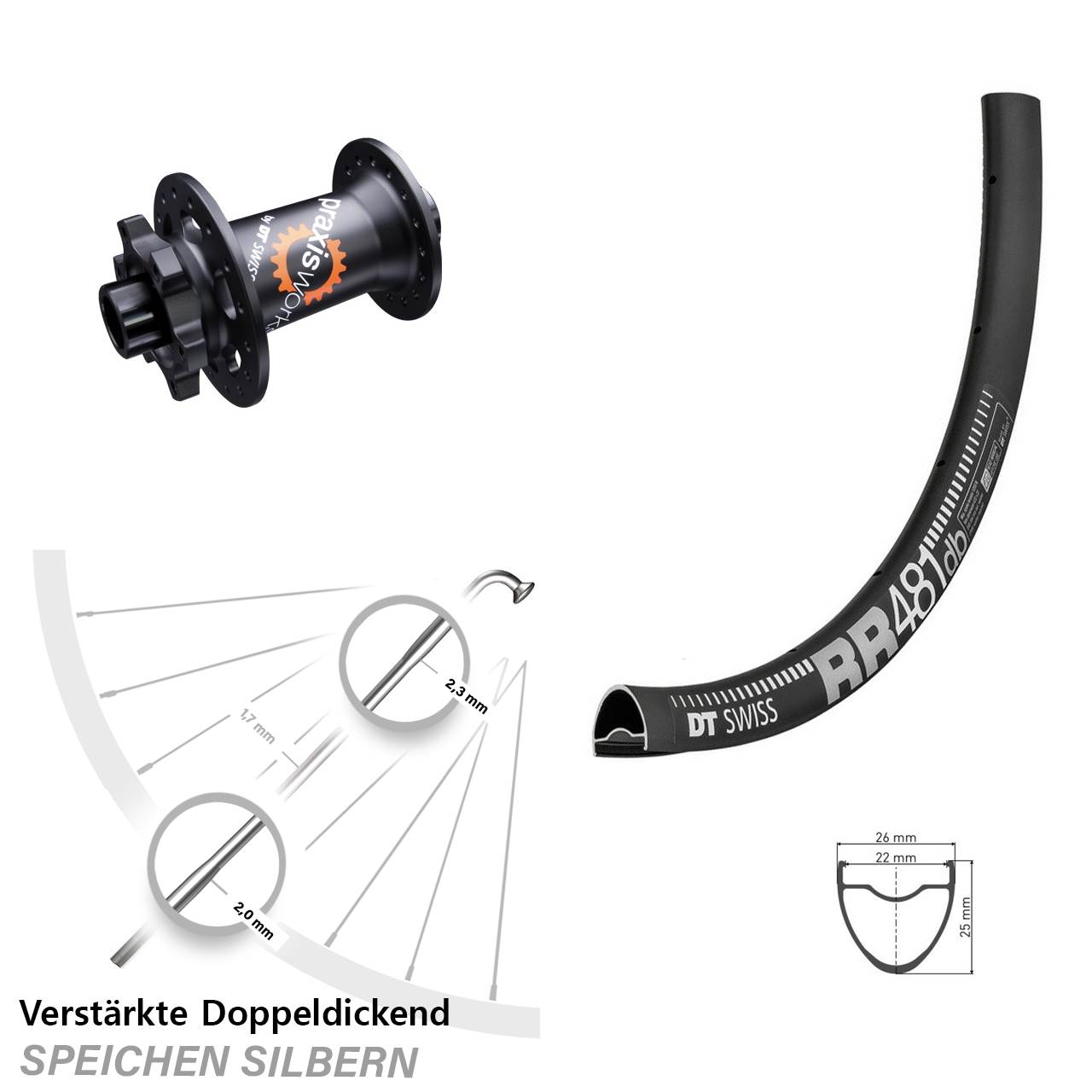 Vorderrad 6-Loch 12x100 28 Zoll DT Swiss RR481-350