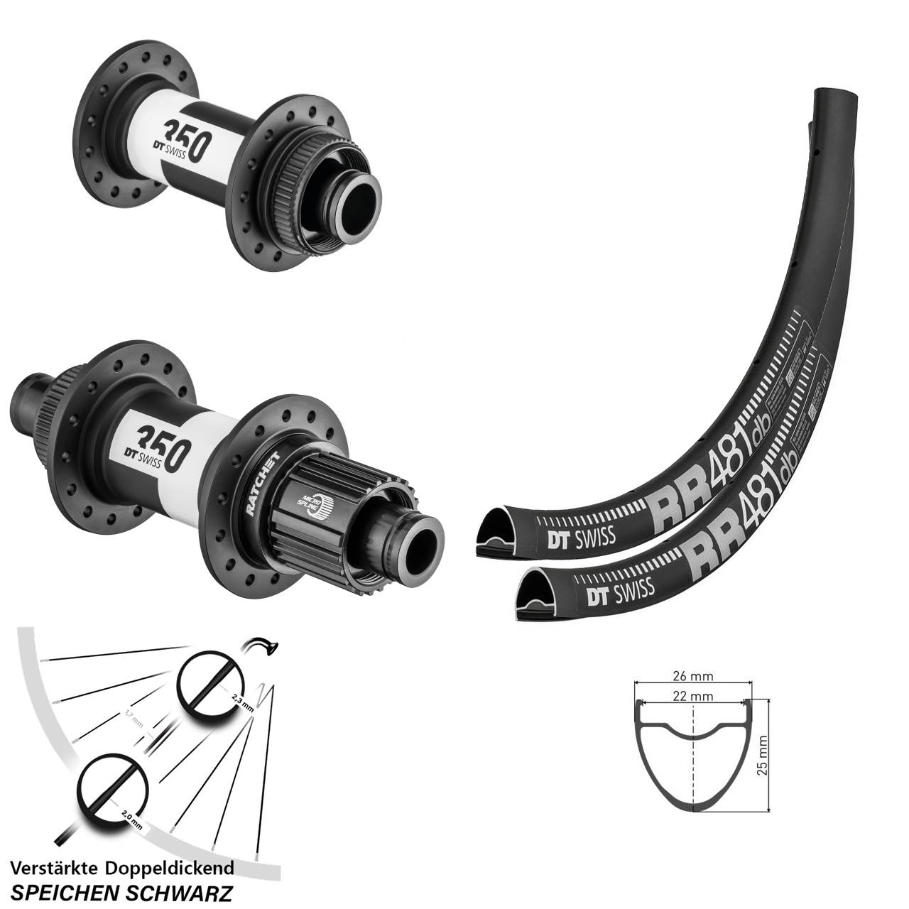 Disc Laufradsatz 28 Zoll DT Swiss RR481 DT Swiss 350 Micro Spline 15x100 12x142