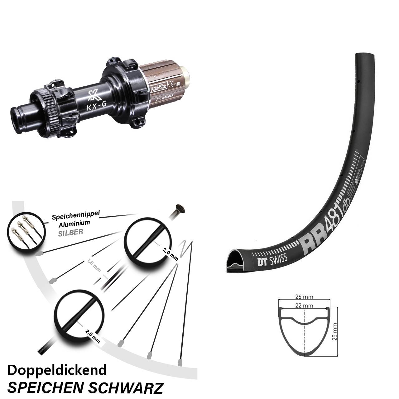 28 Zoll Hinterrad Road Disc Straightpull DT Swiss RR 481 TA KX-G Shimano HG 8-12 fach