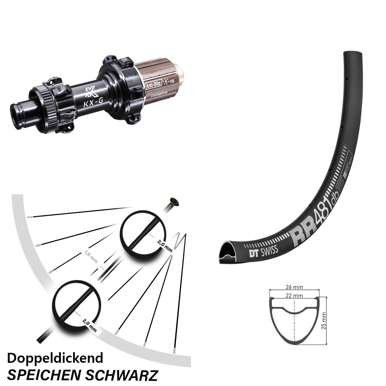 28 Zoll Hinterrad Road Disc Straightpull DT Swiss RR 481 TA KX-G Shimano HG 8-12 fach