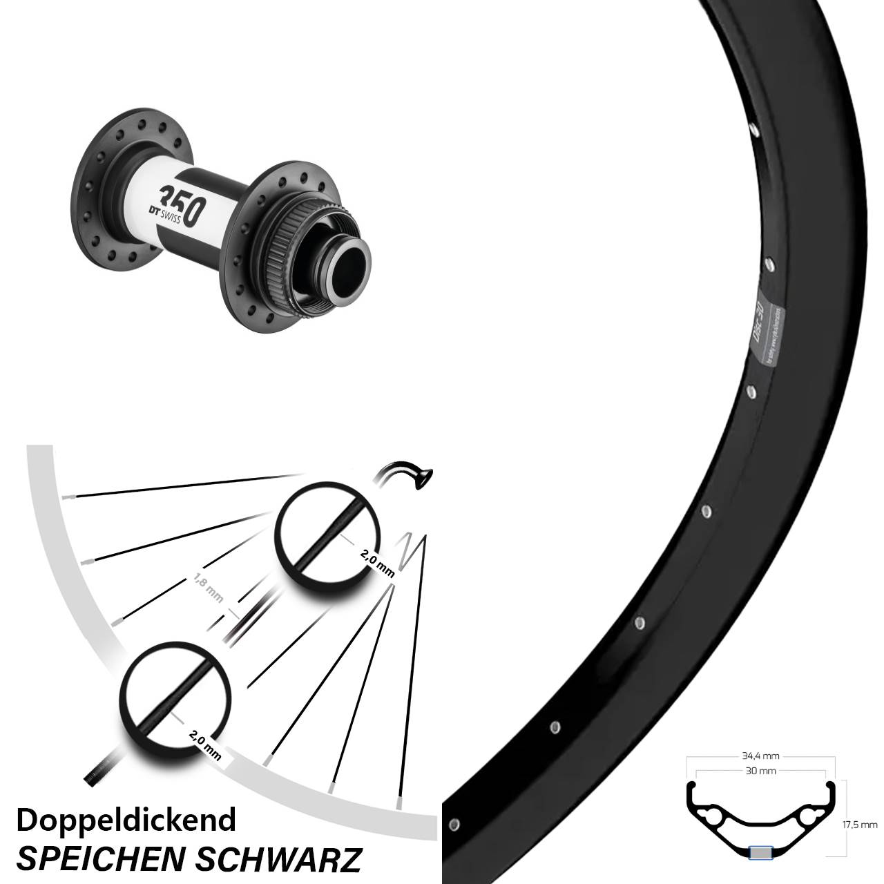 Disc Laufrad 29 Zoll Ryde Disc 30 DT Swiss 350 15x100