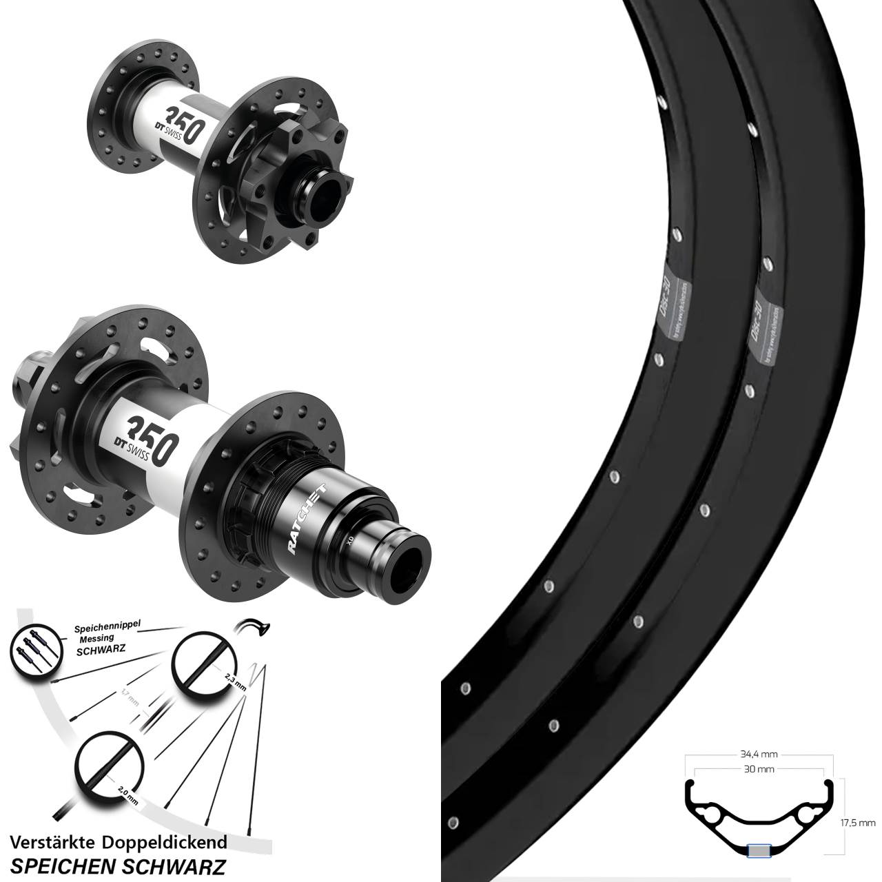 Laufradsatz 6-Loch 29 Zoll Ryde Disc 30 DT Swiss 350 SRAM XD 15x100 12x142