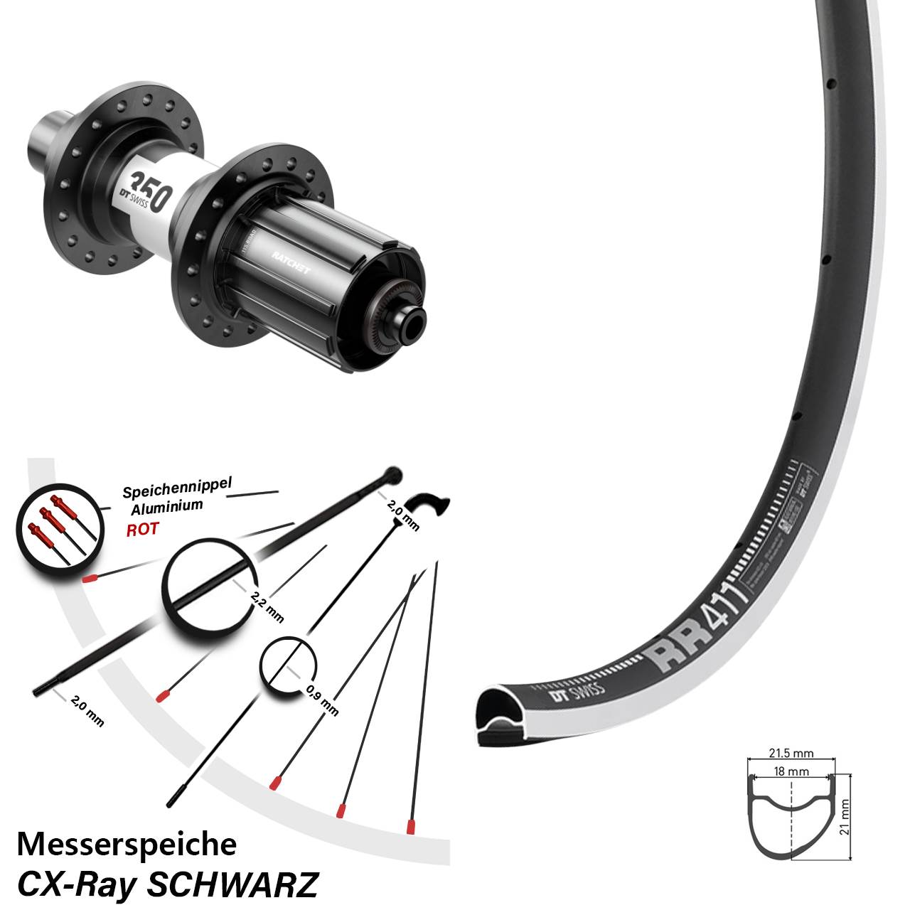 DT Swiss RR411-350 Rennrad 28 Zoll Hinterrad QR CX-Ray 11-12 fach