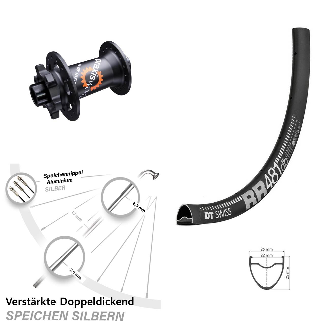 Vorderrad 6-Loch 12x100 28 Zoll DT Swiss RR481-350