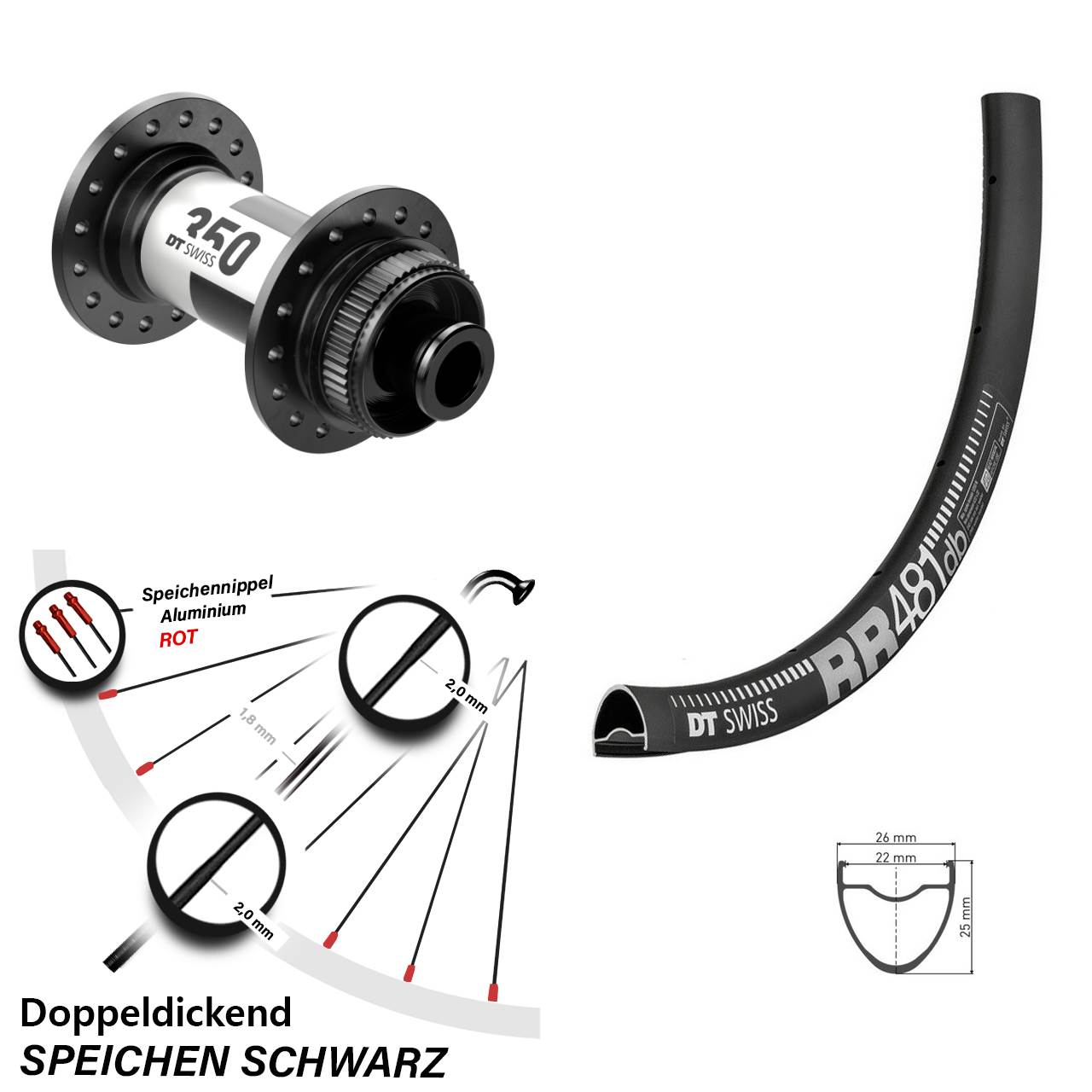 Laufrad 28 Zoll DT Swiss RR 481 Disc-350 12x100 Centerlock