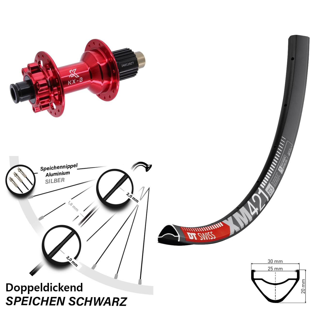 29 Zoll DT Swiss XM 421 Hinterrad KX-B rot Micro Spline Boost